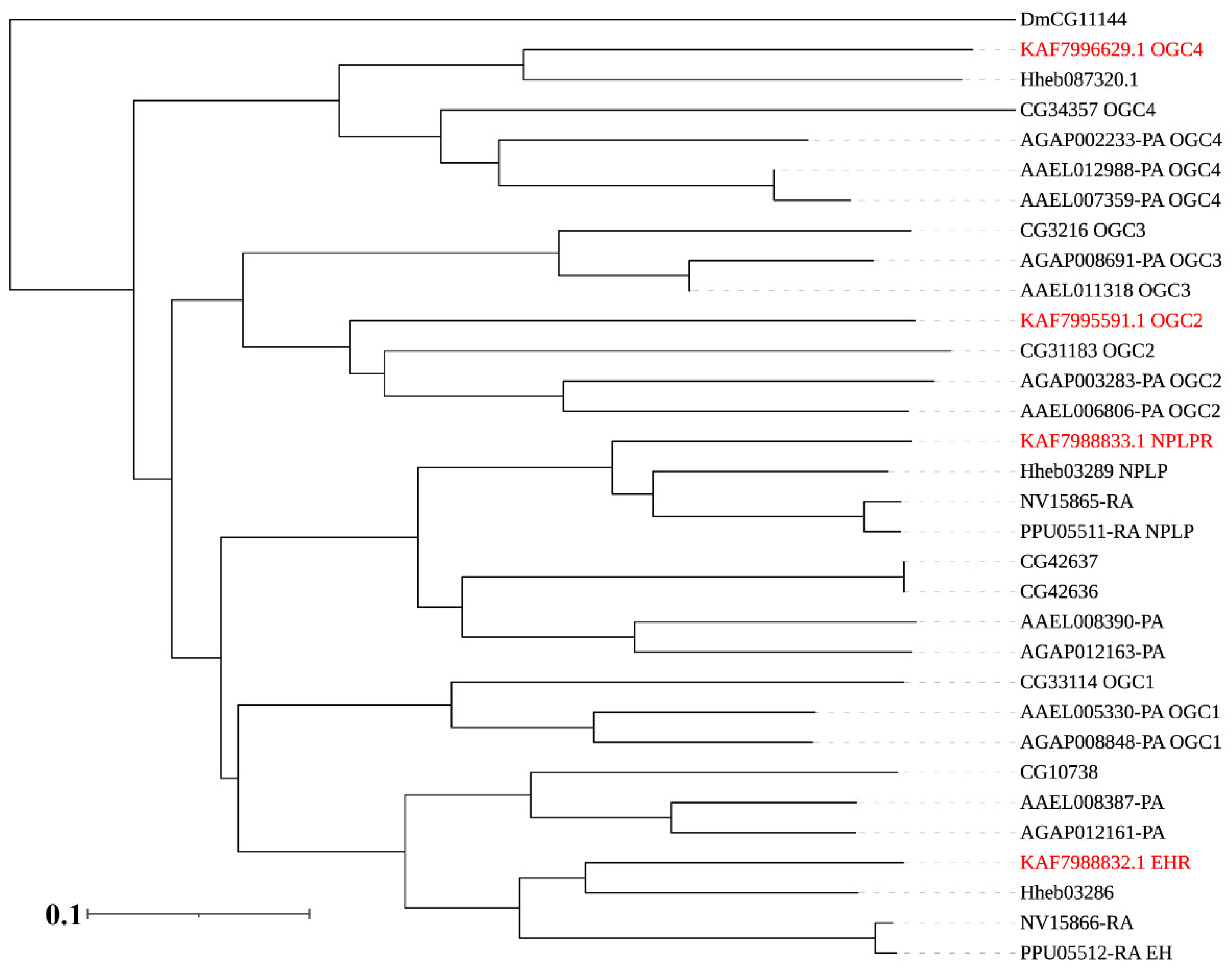 Insects 12 00745 g006