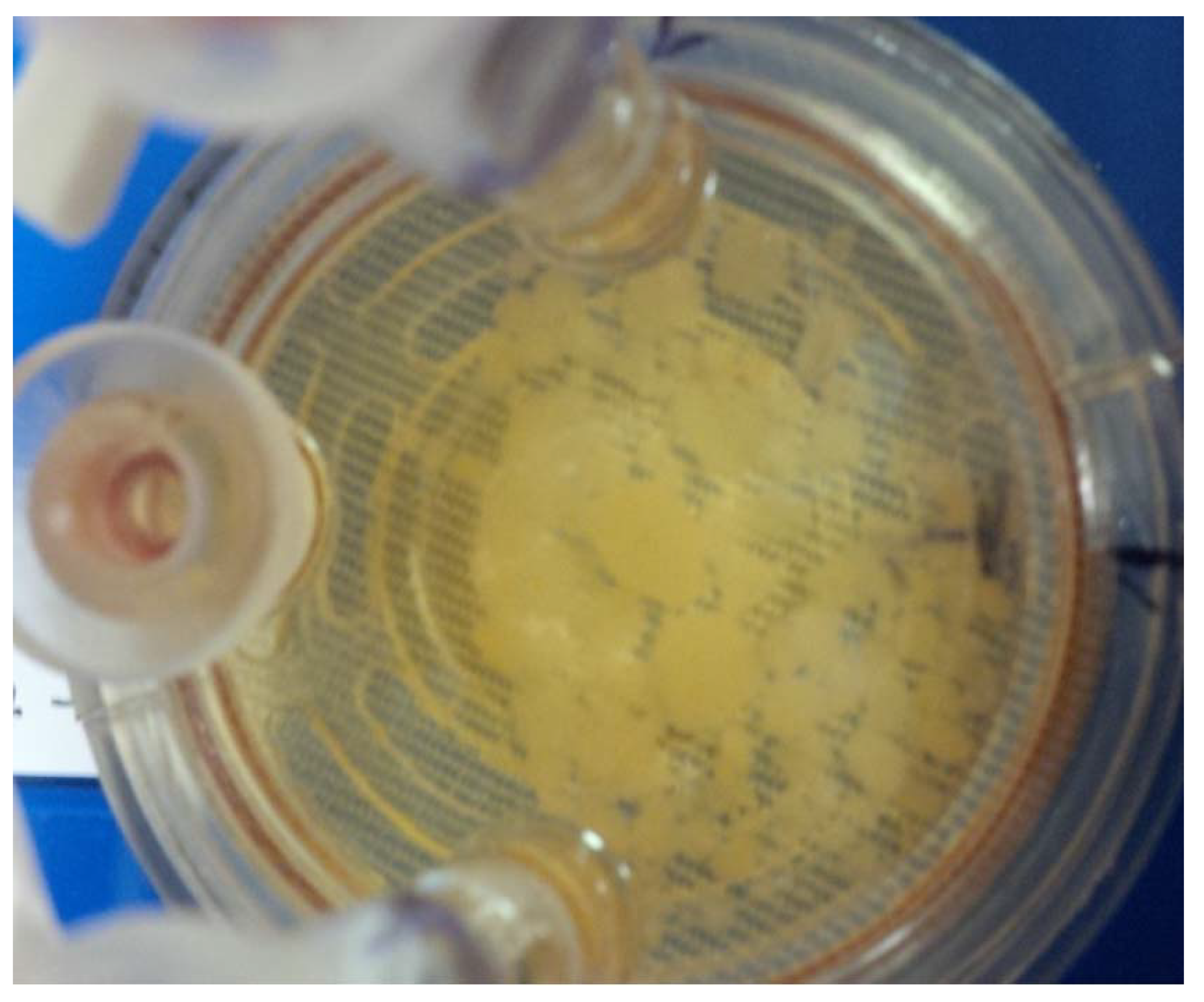 Insects 12 00747 g002 Insects 12 00747 g002