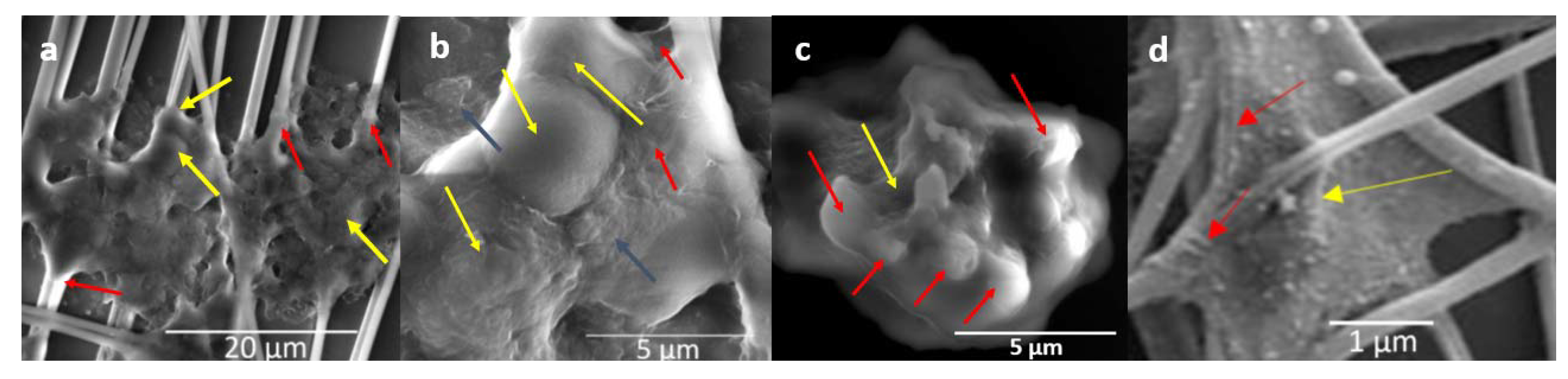 Insects 12 00747 g006 Insects 12 00747 g006