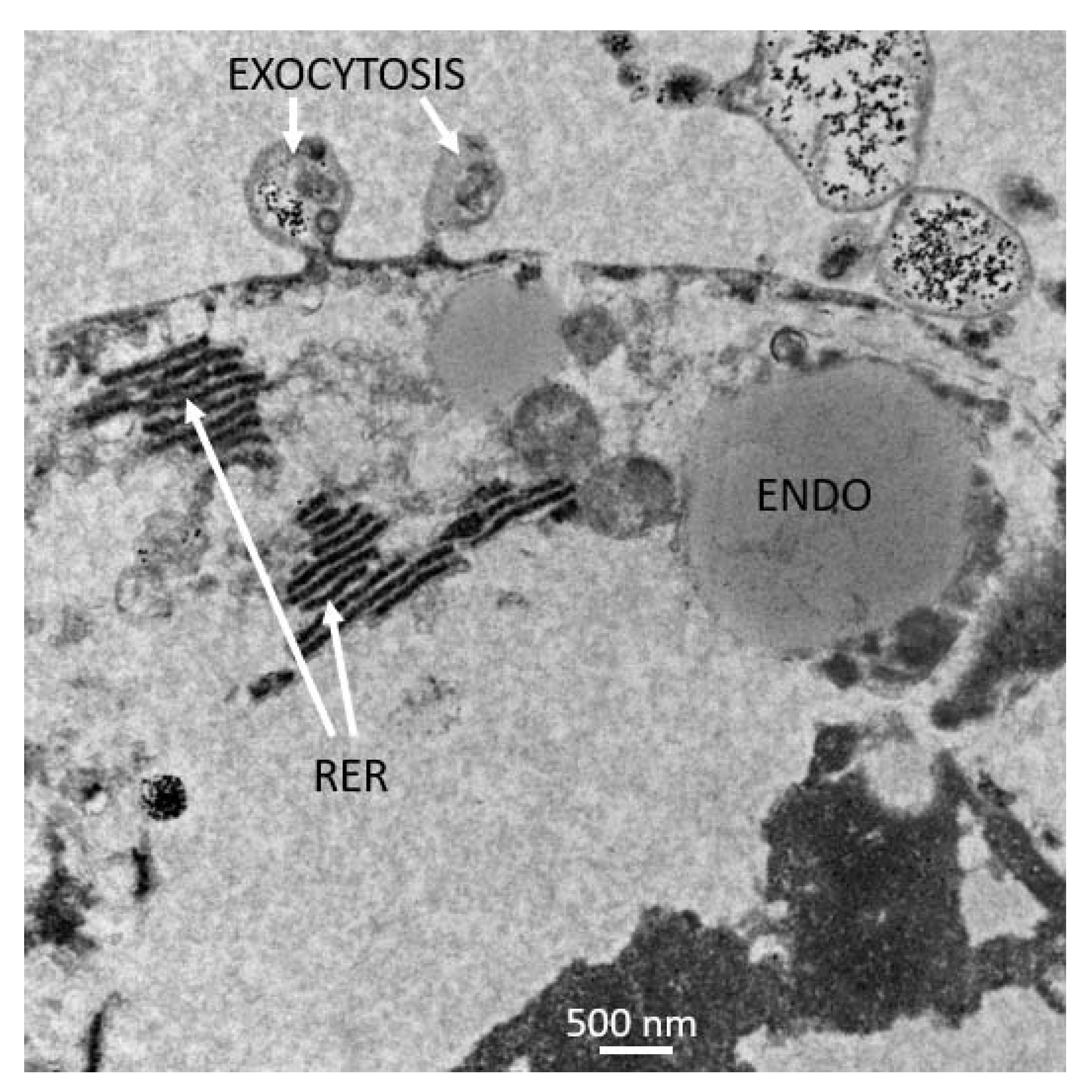 Insects 12 00747 g012 Insects 12 00747 g012