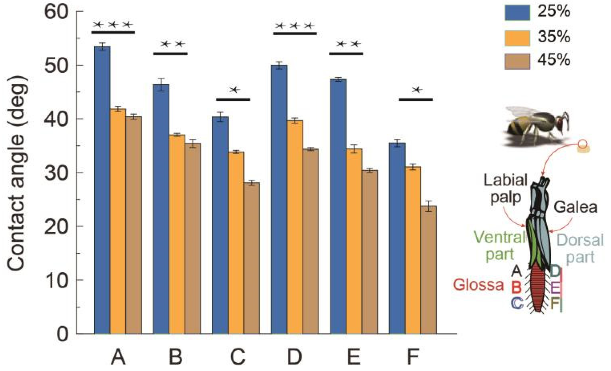 Insects 12 00762 g002 Insects 12 00762 g002