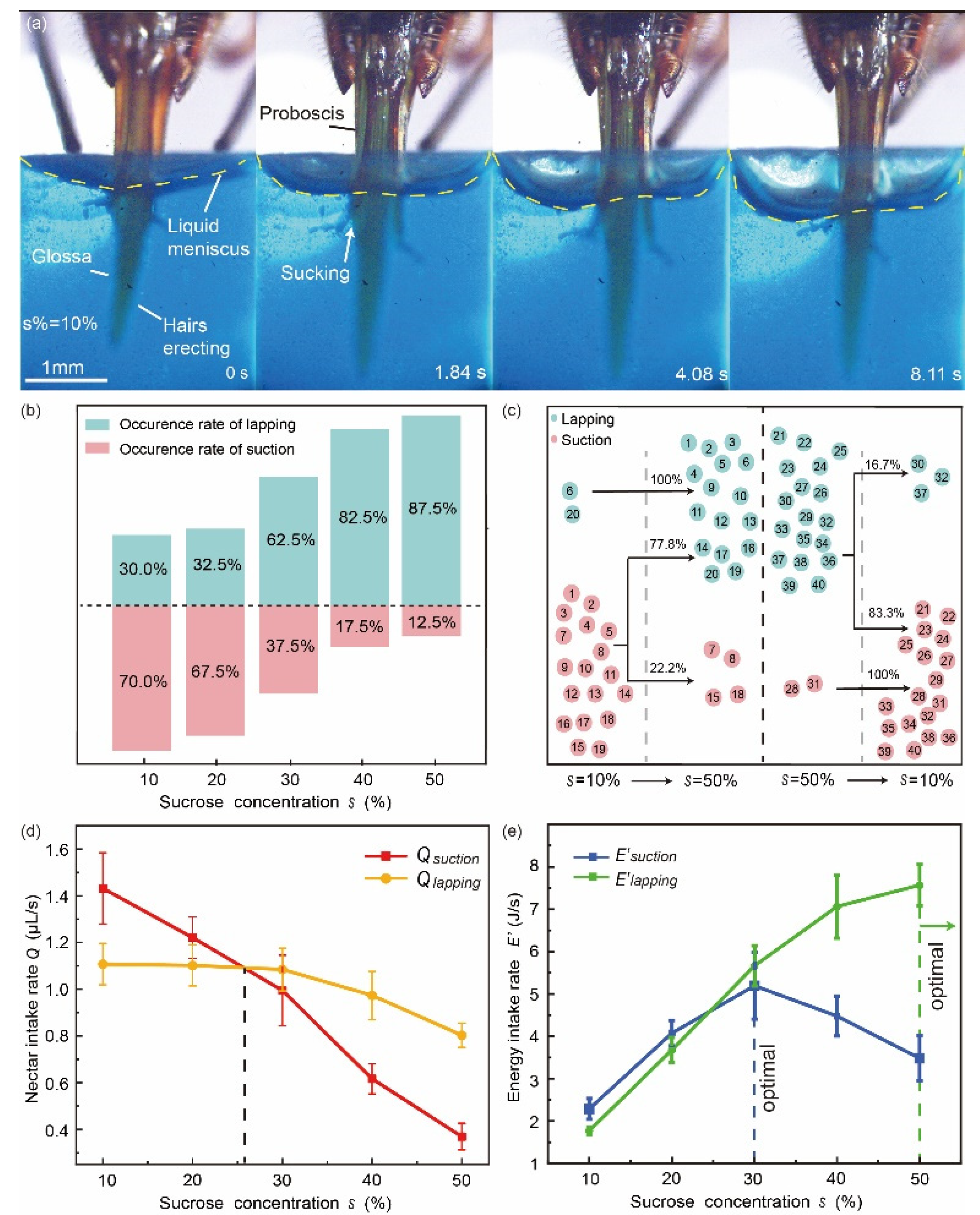 Insects 12 00762 g003 Insects 12 00762 g003