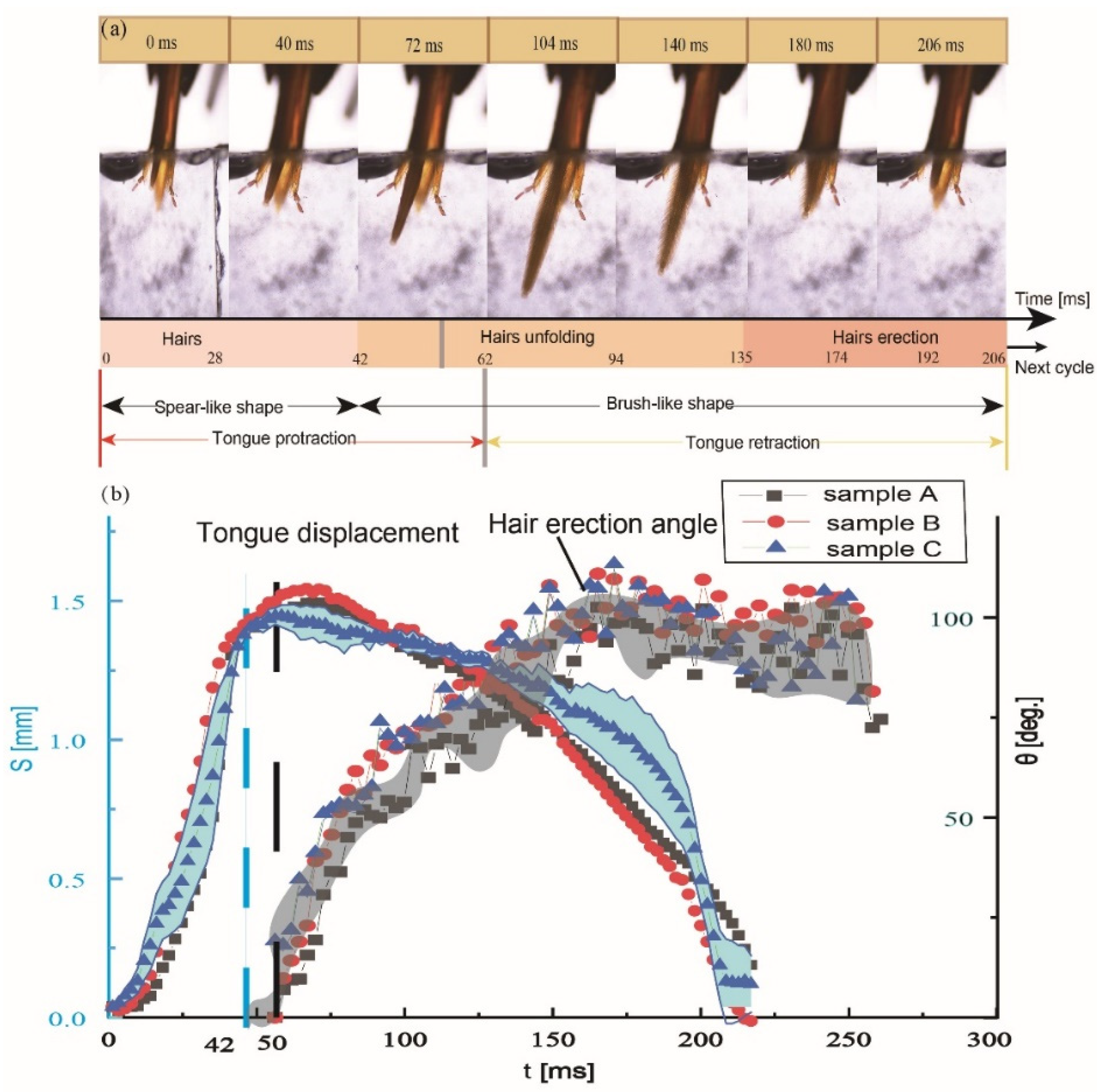 Insects 12 00762 g004 Insects 12 00762 g004