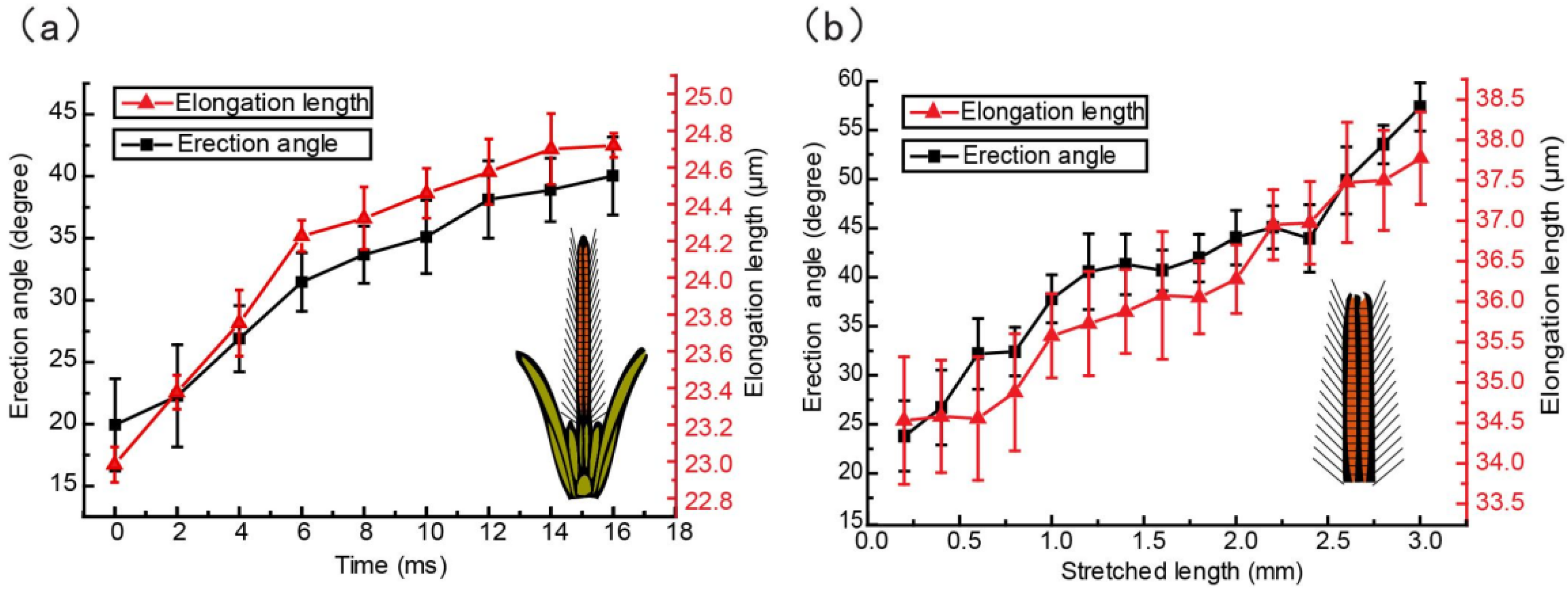Insects 12 00762 g005 Insects 12 00762 g005