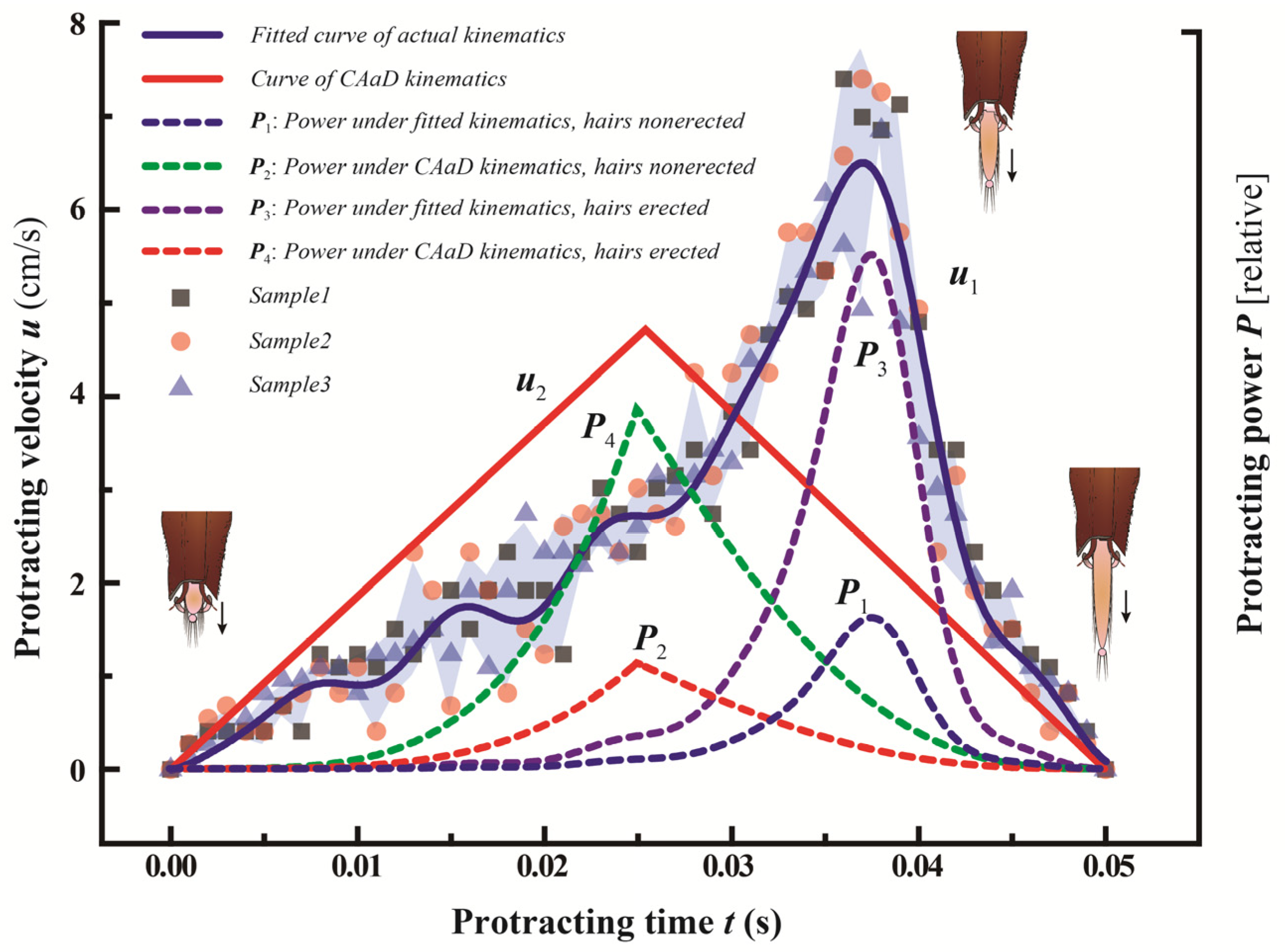 Insects 12 00762 g007 Insects 12 00762 g007