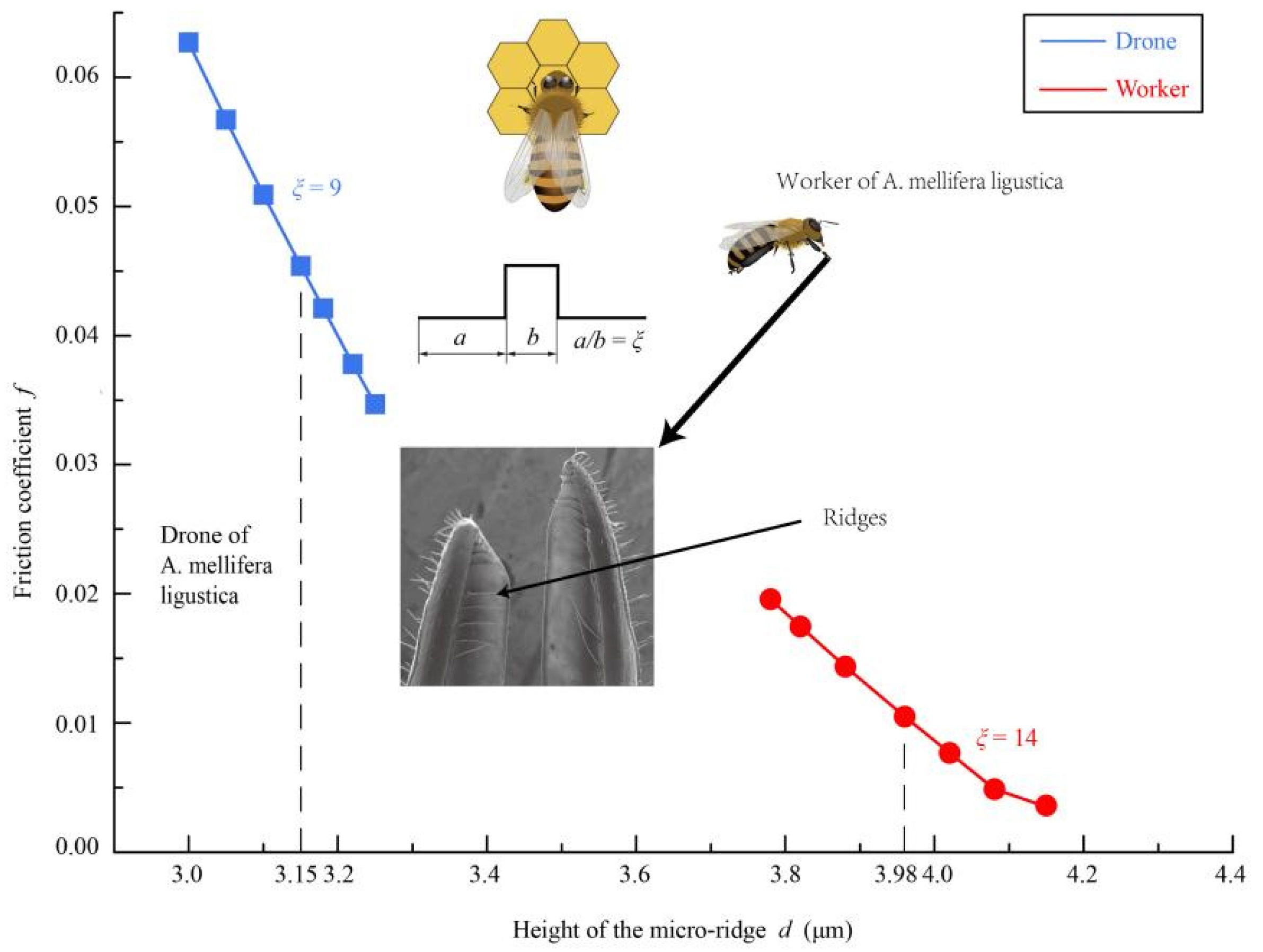 Insects 12 00762 g008 Insects 12 00762 g008