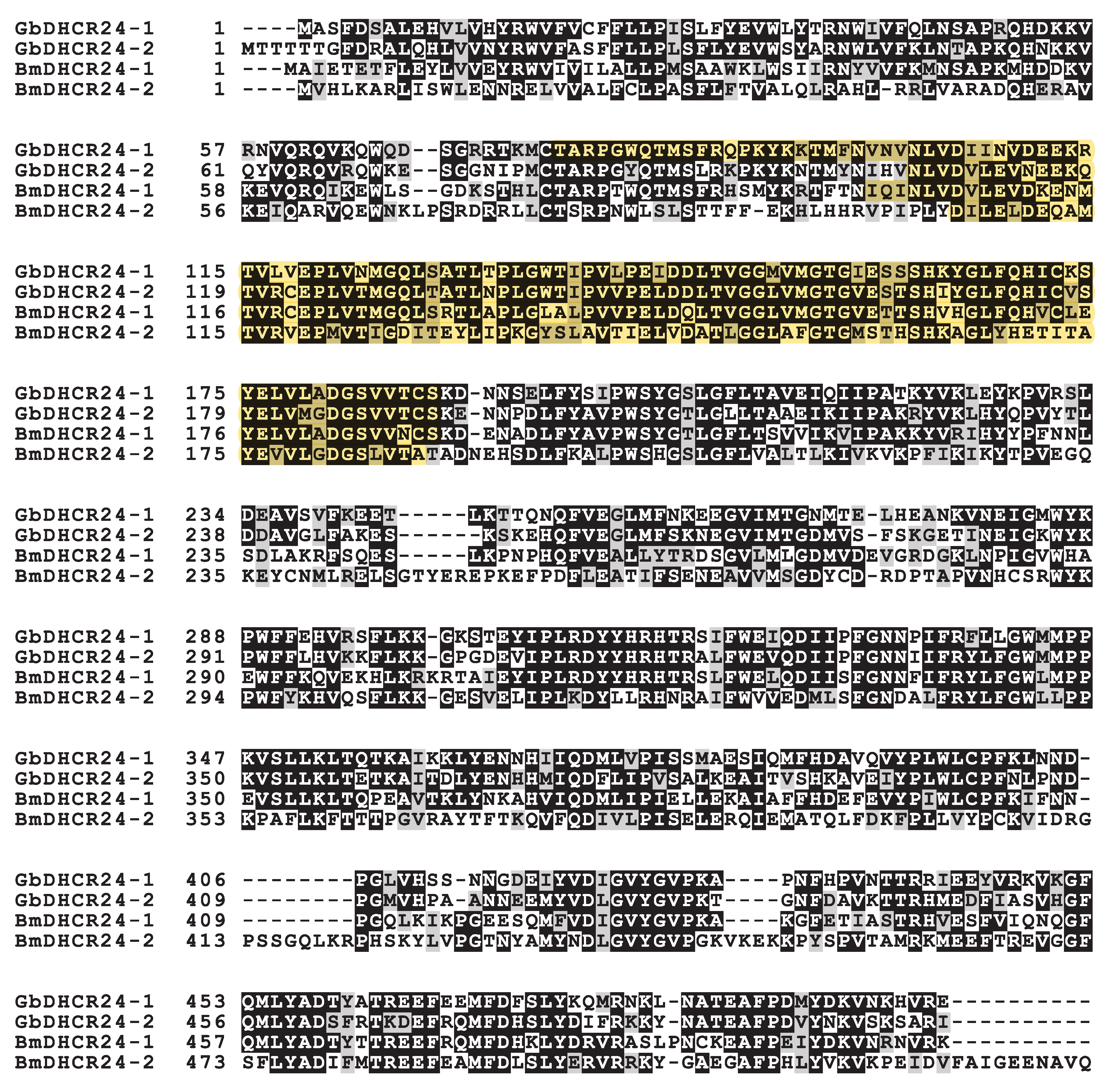 Insects Free Full Text Identification And Characterization Of 24 Dehydrocholesterol Reductase Dhcr24 In The Two Spotted Cricket Gryllus Bimaculatus Html