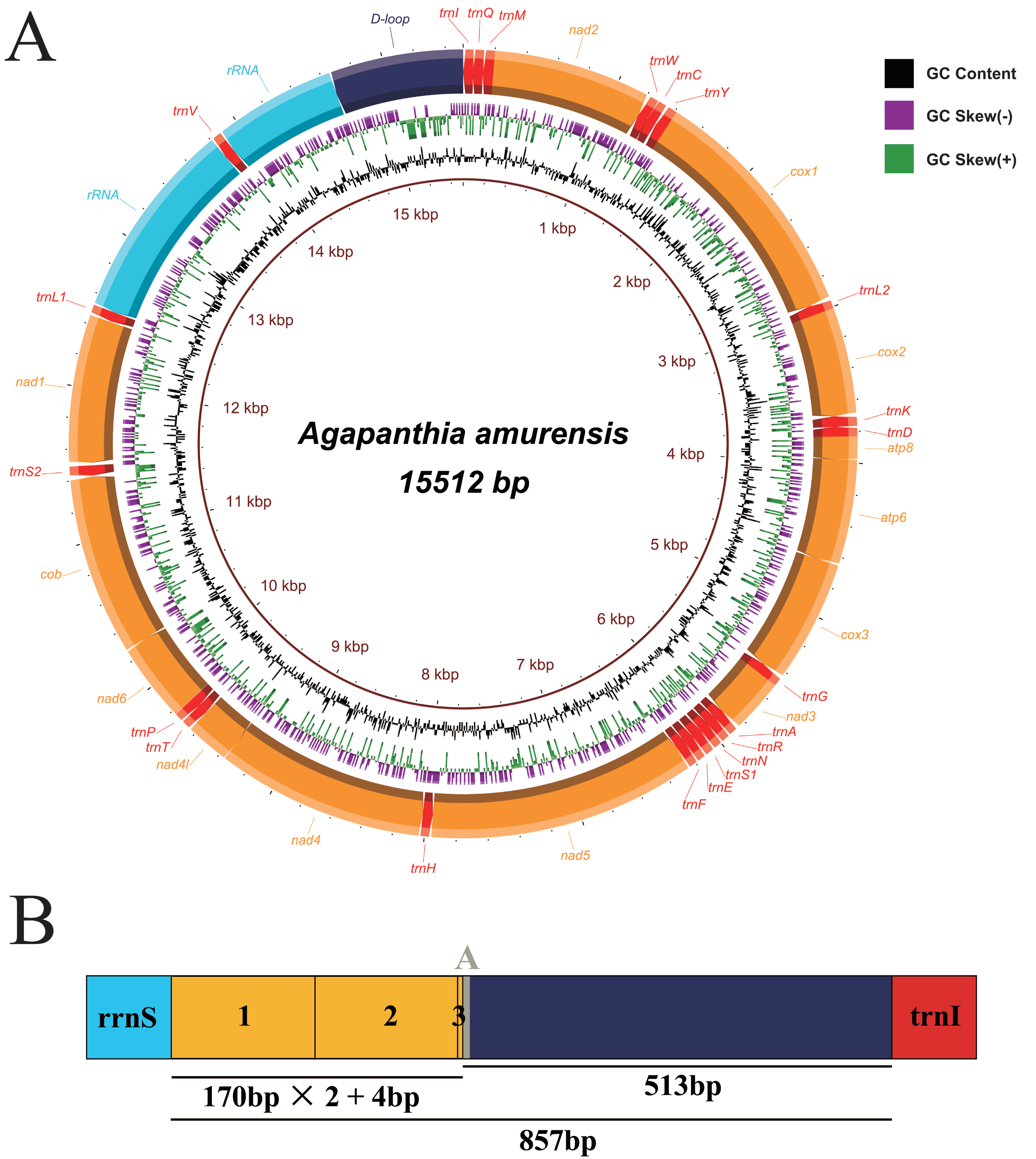 Insects 12 00820 g001