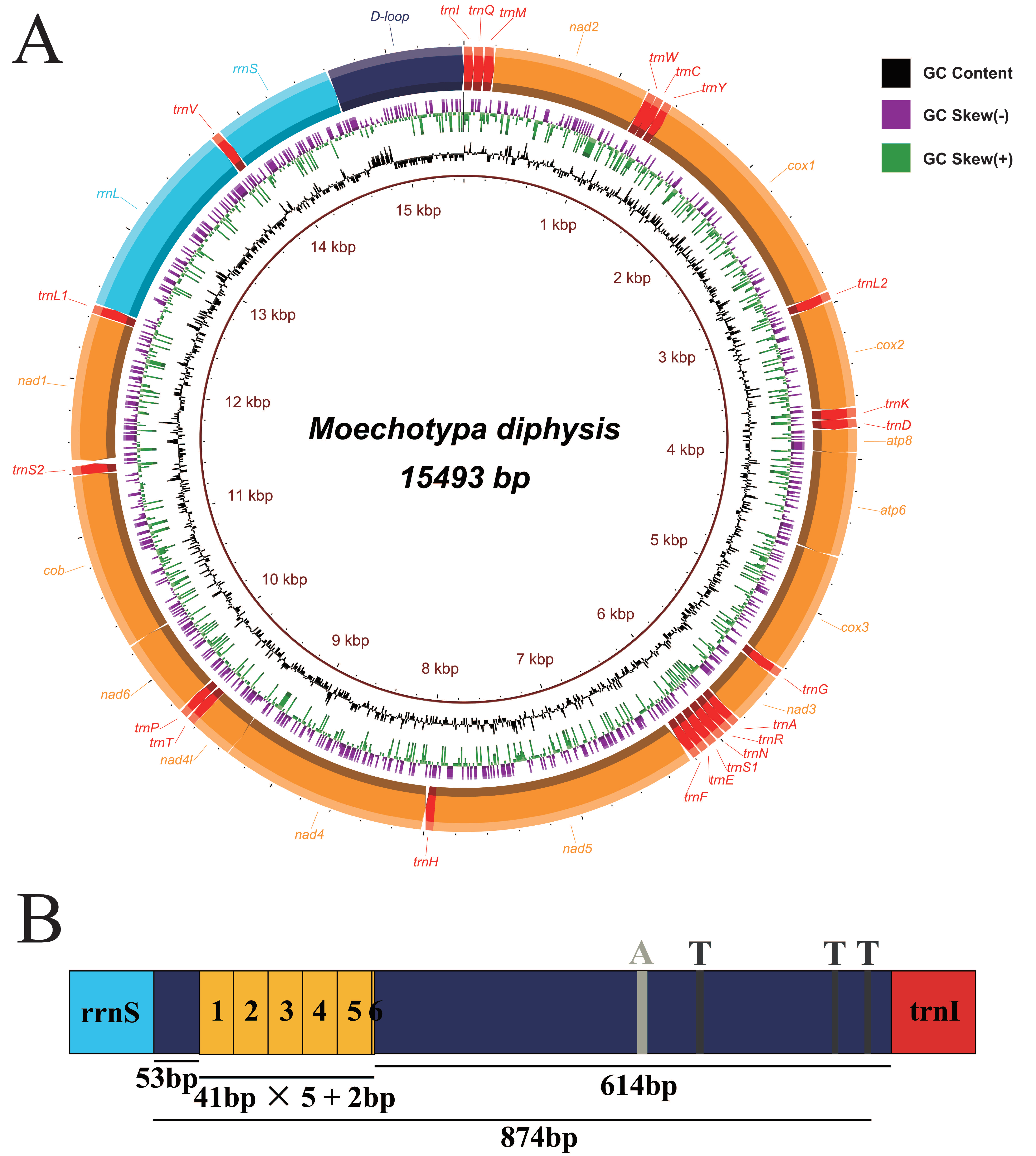 Insects 12 00820 g002