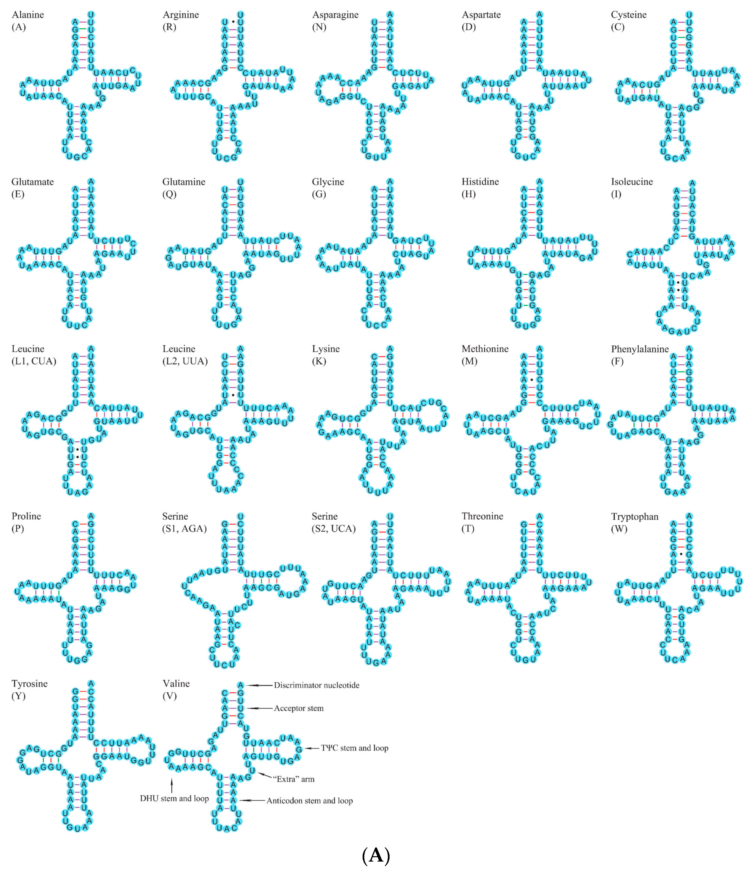 Insects 12 00820 g004a