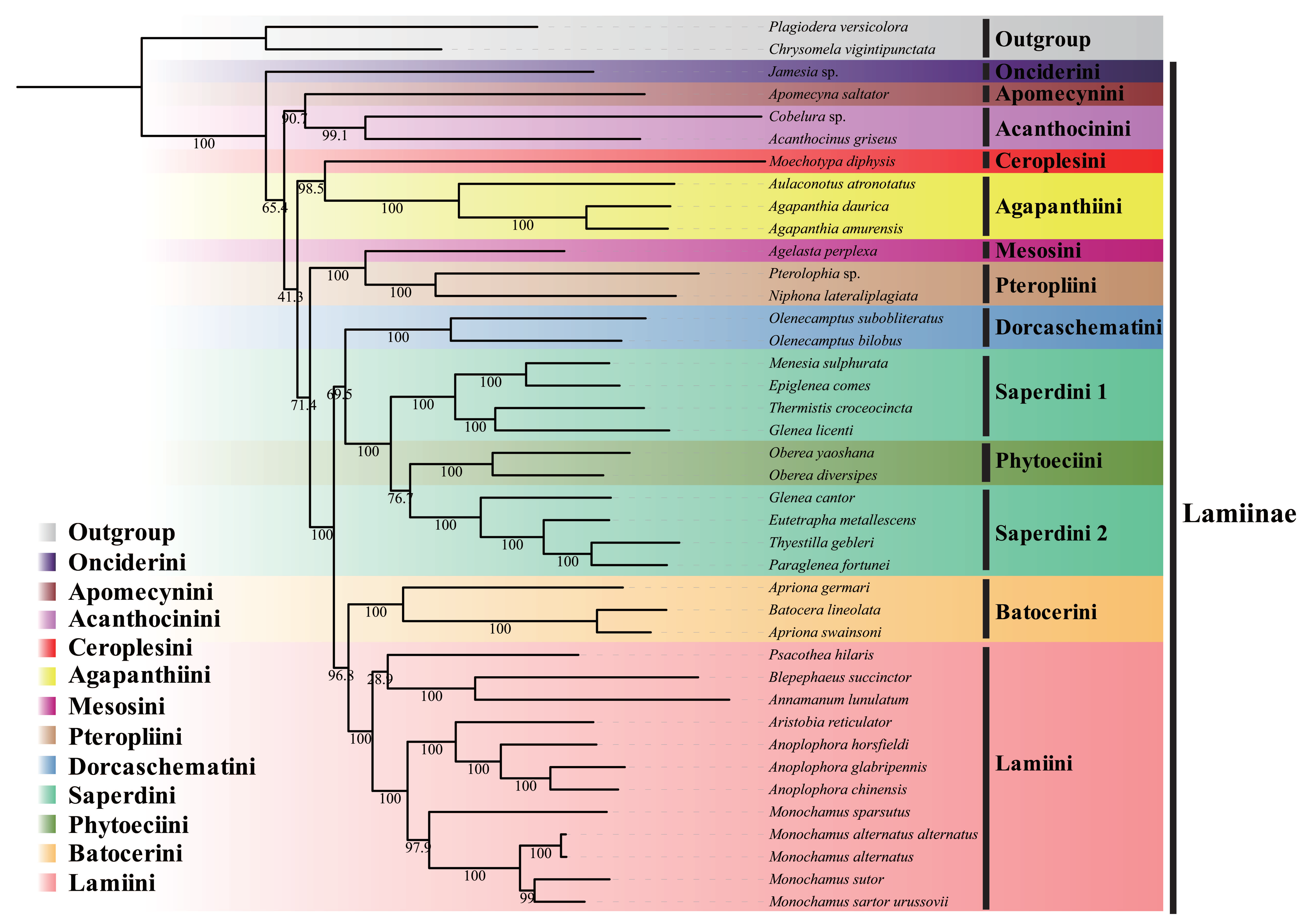 Insects 12 00820 g005a