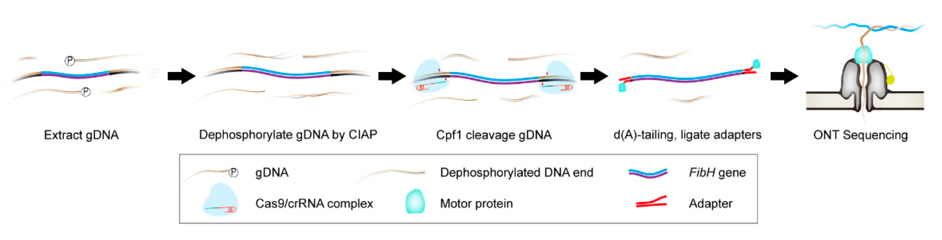 Insects 12 00832 g001
