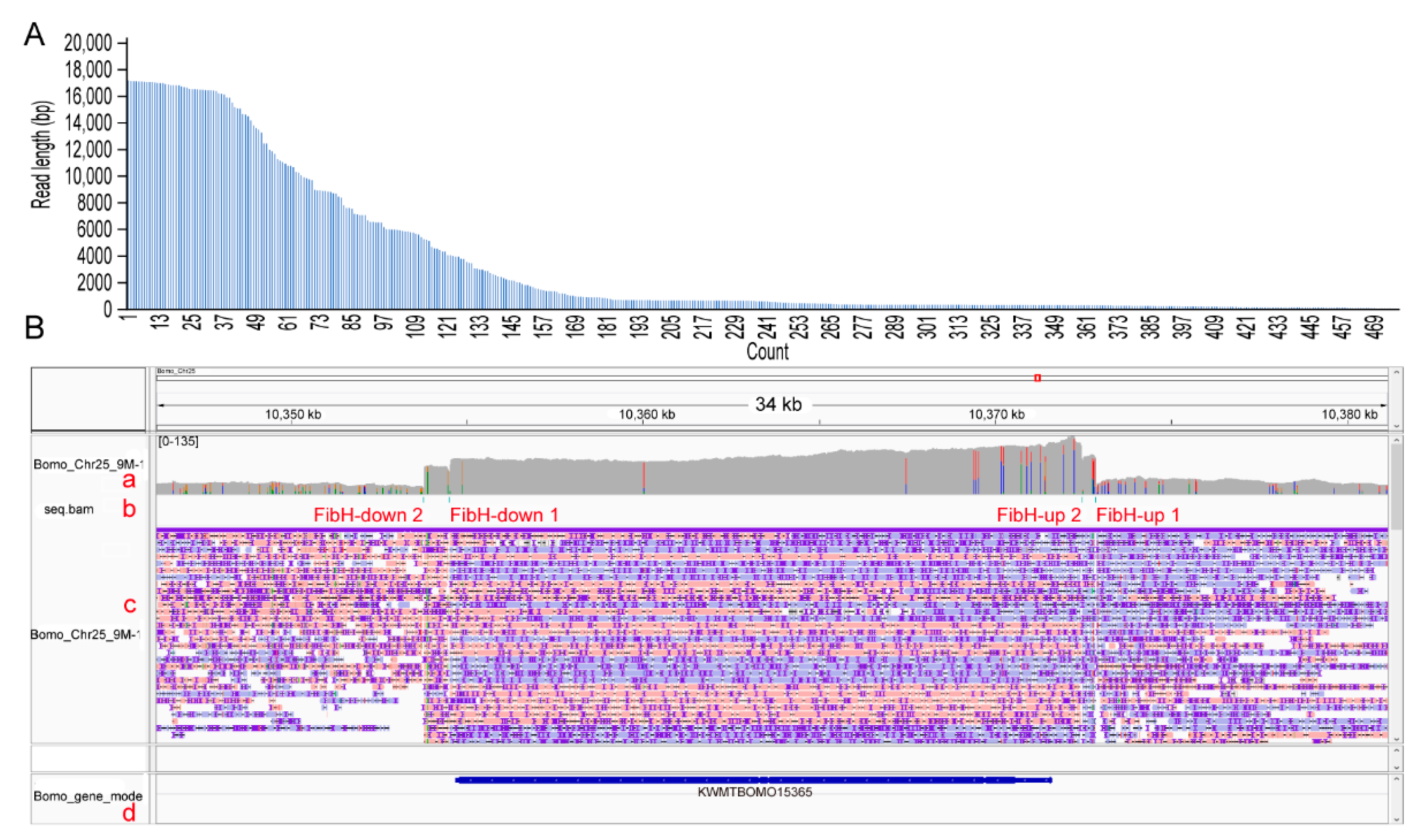Insects 12 00832 g003
