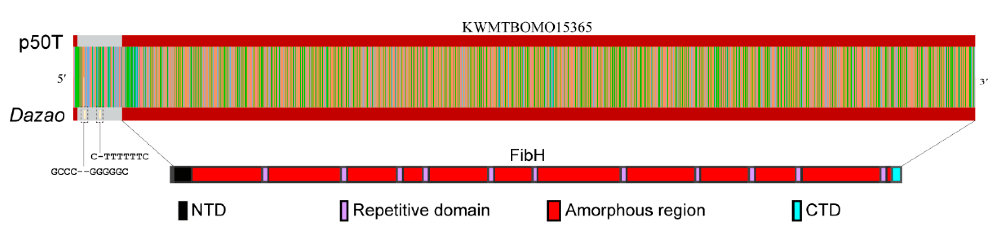 Insects 12 00832 g004