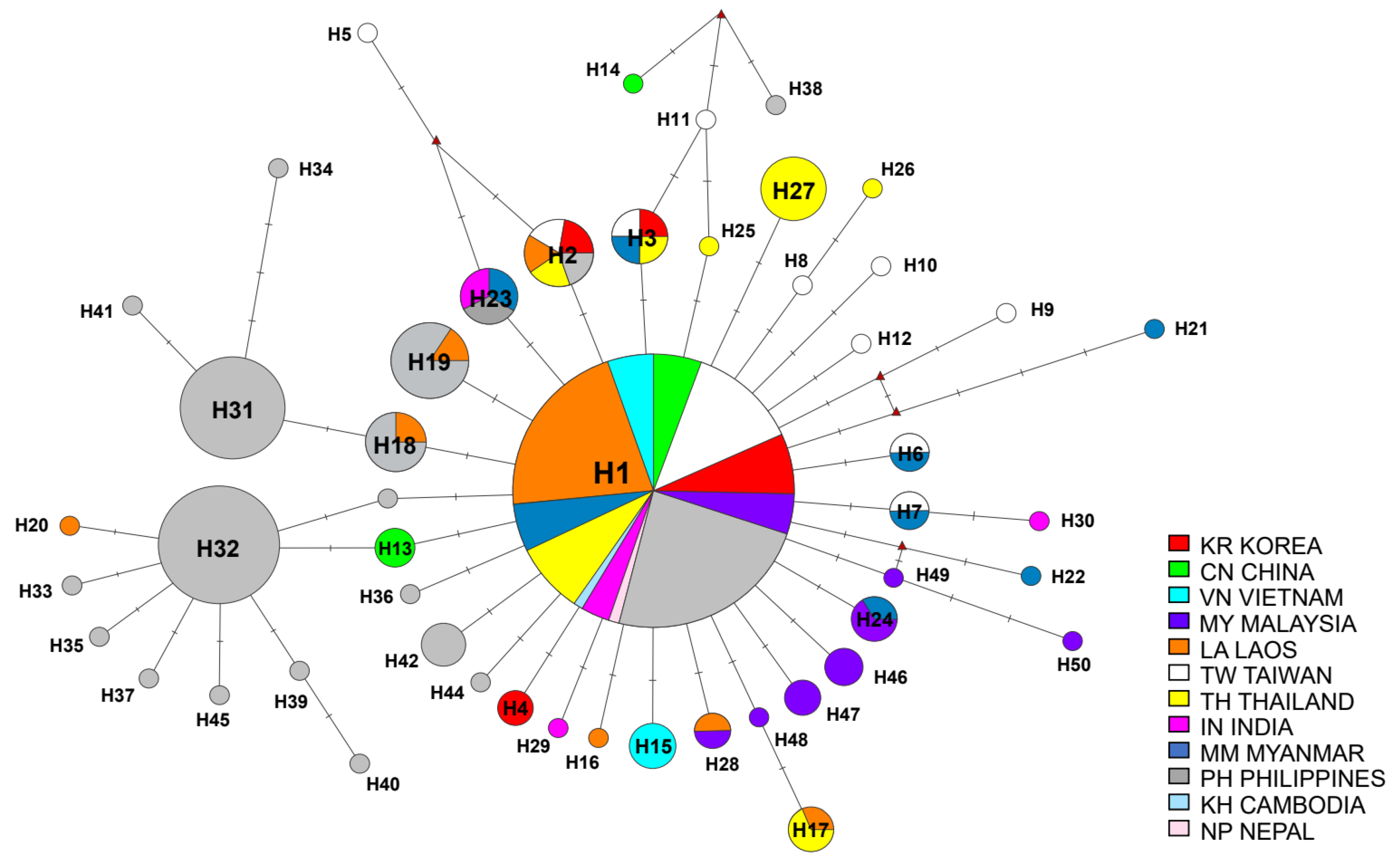 Insects 12 00851 g002