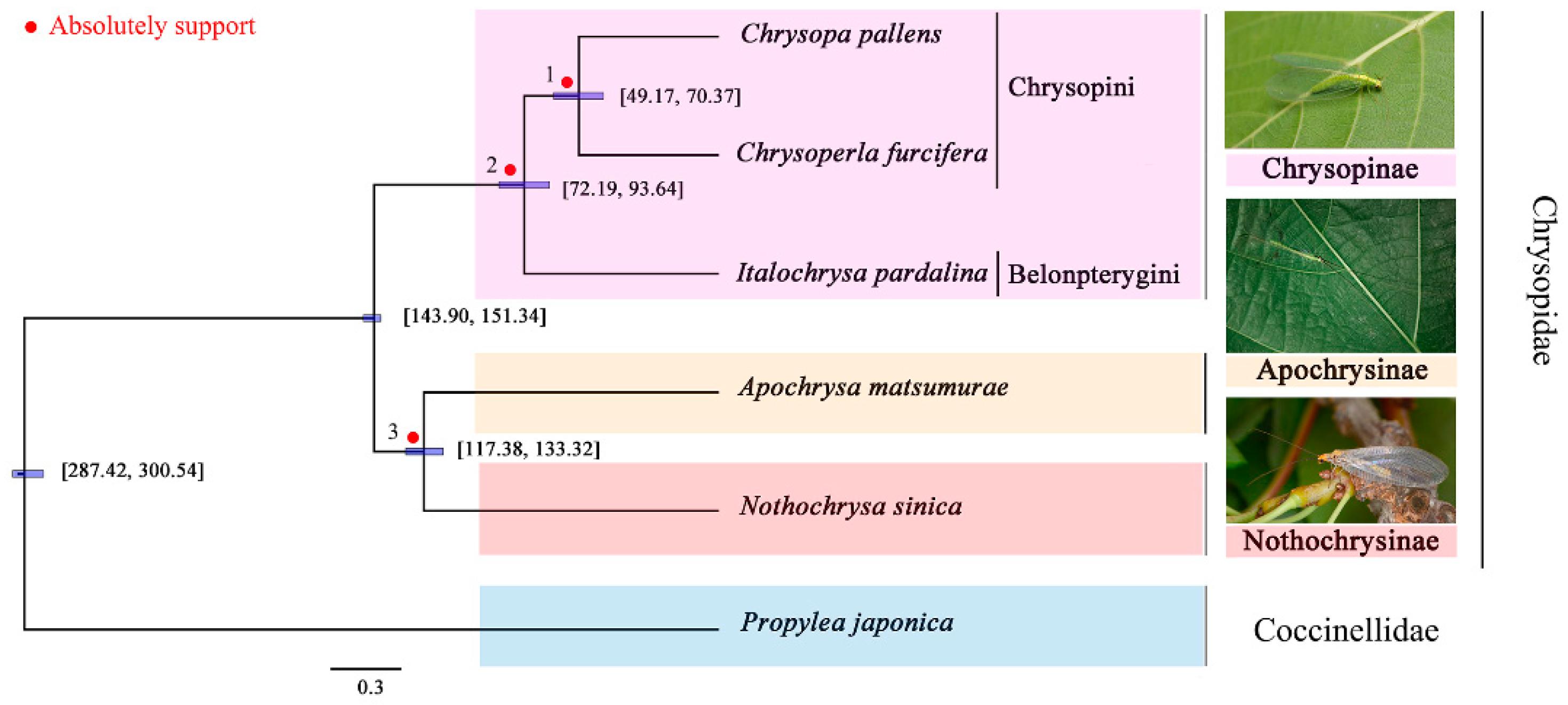 Insects 12 00857 g004 Insects 12 00857 g004