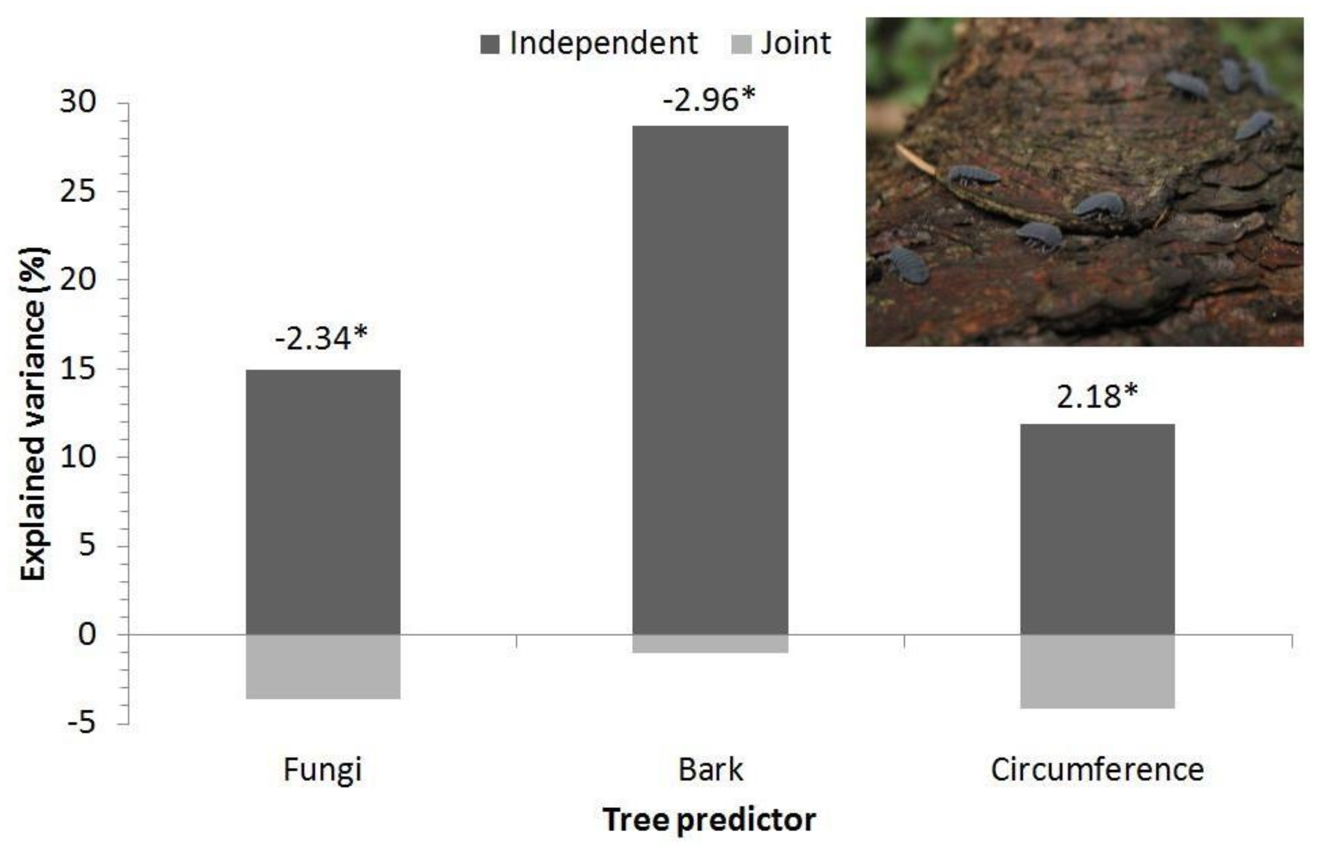 Insects 12 00858 g003