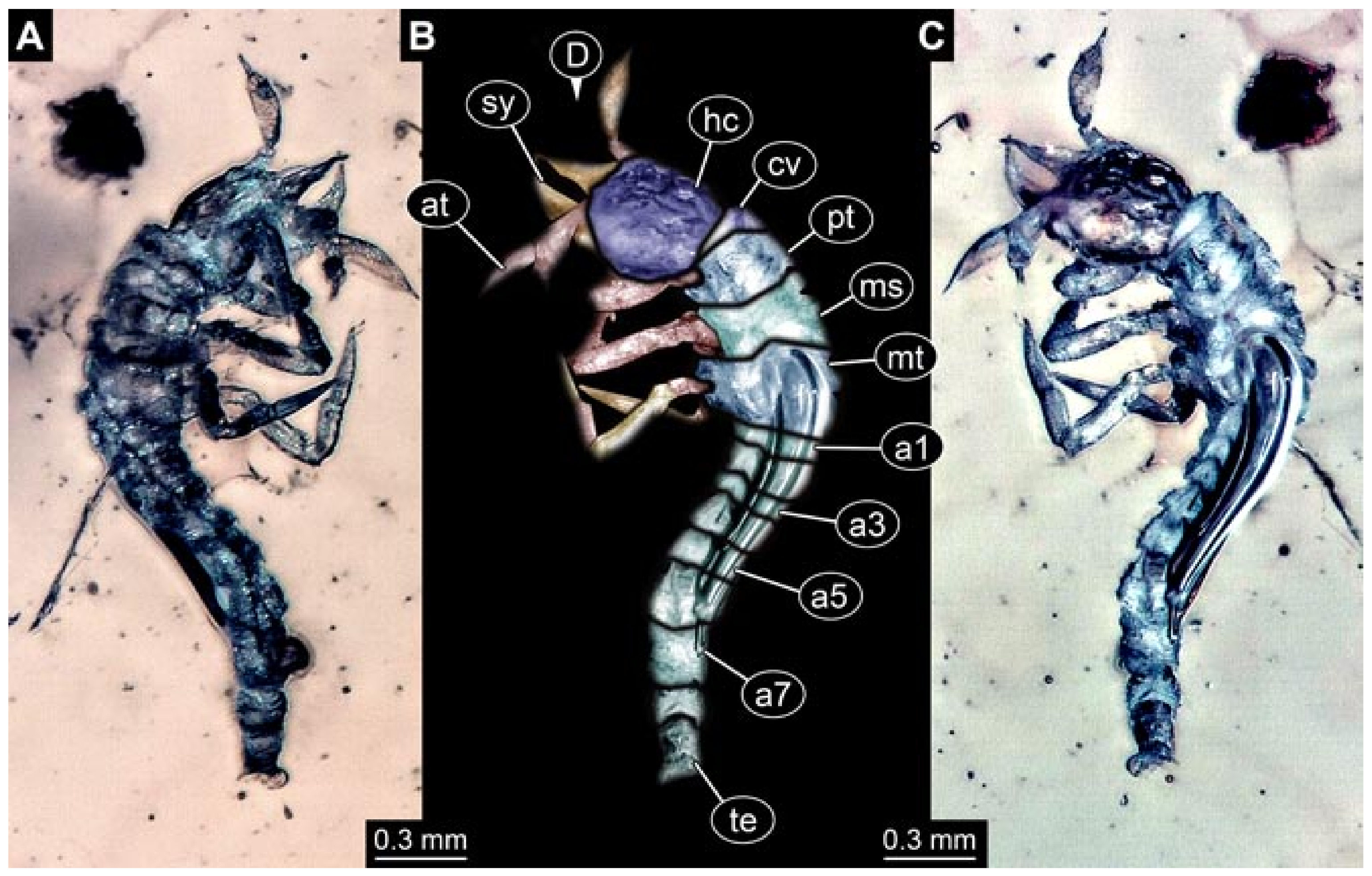 Insects 12 00860 g020