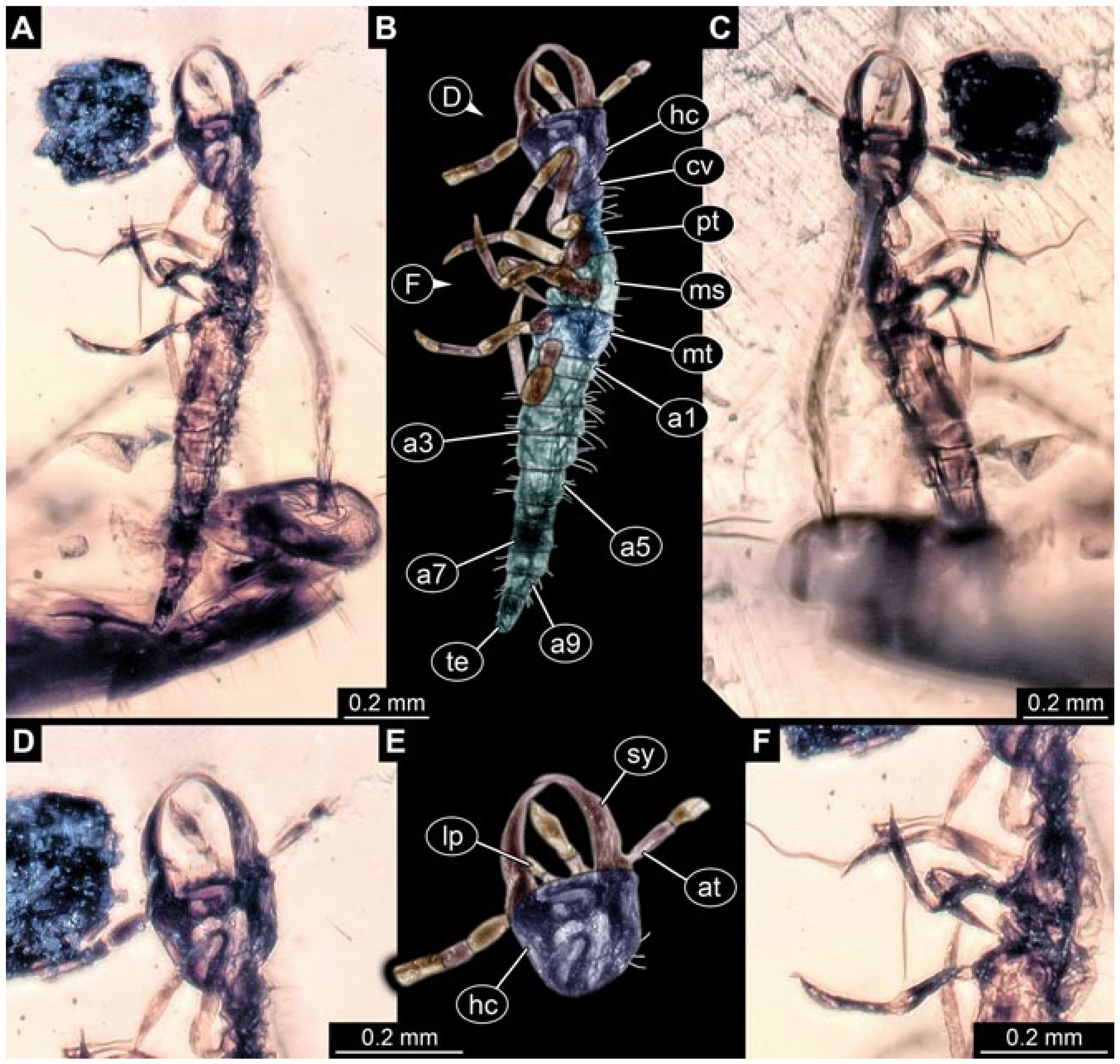 Insects 12 00860 g023