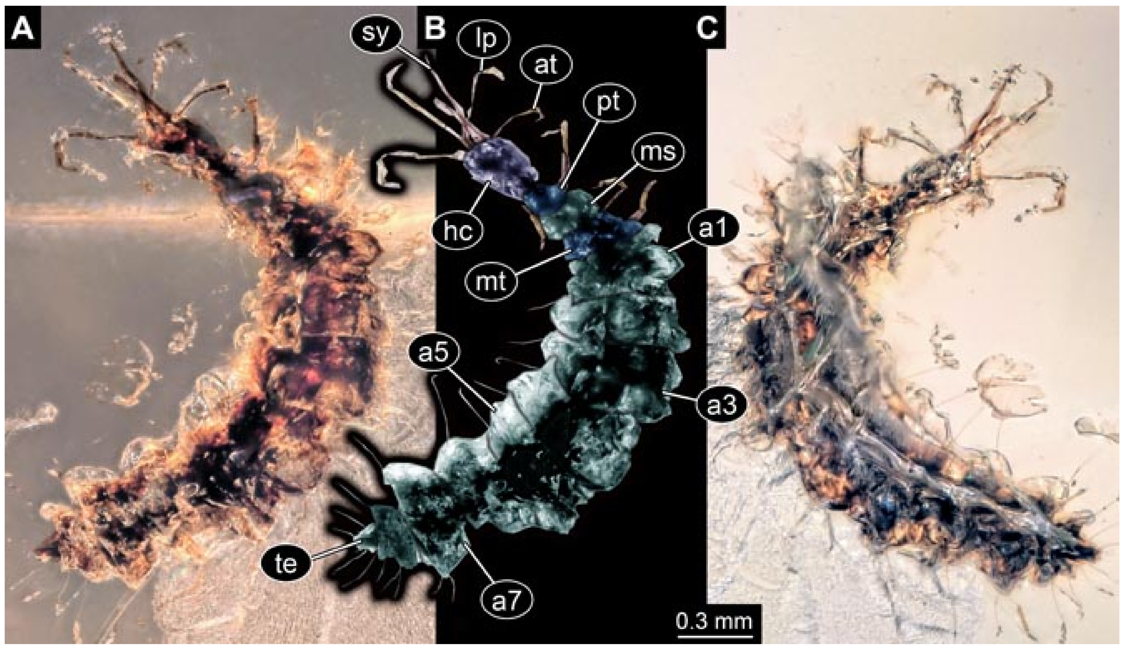 Insects 12 00860 g030