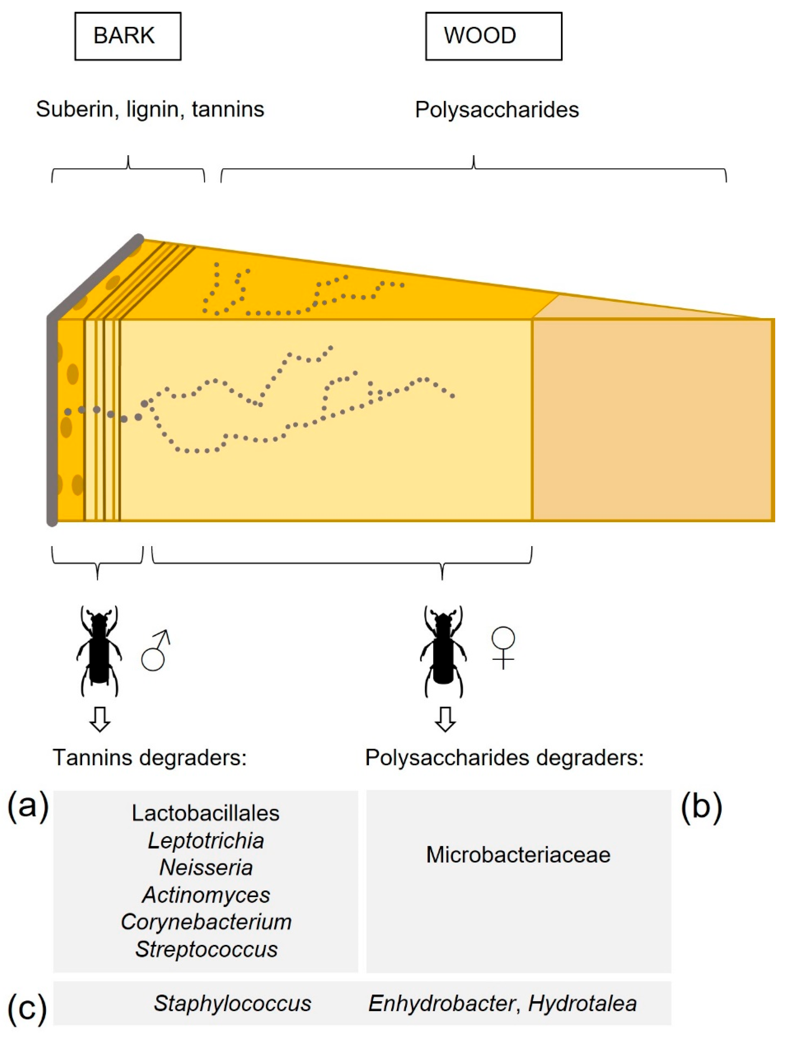 Insects 12 00881 g006 Insects 12 00881 g006