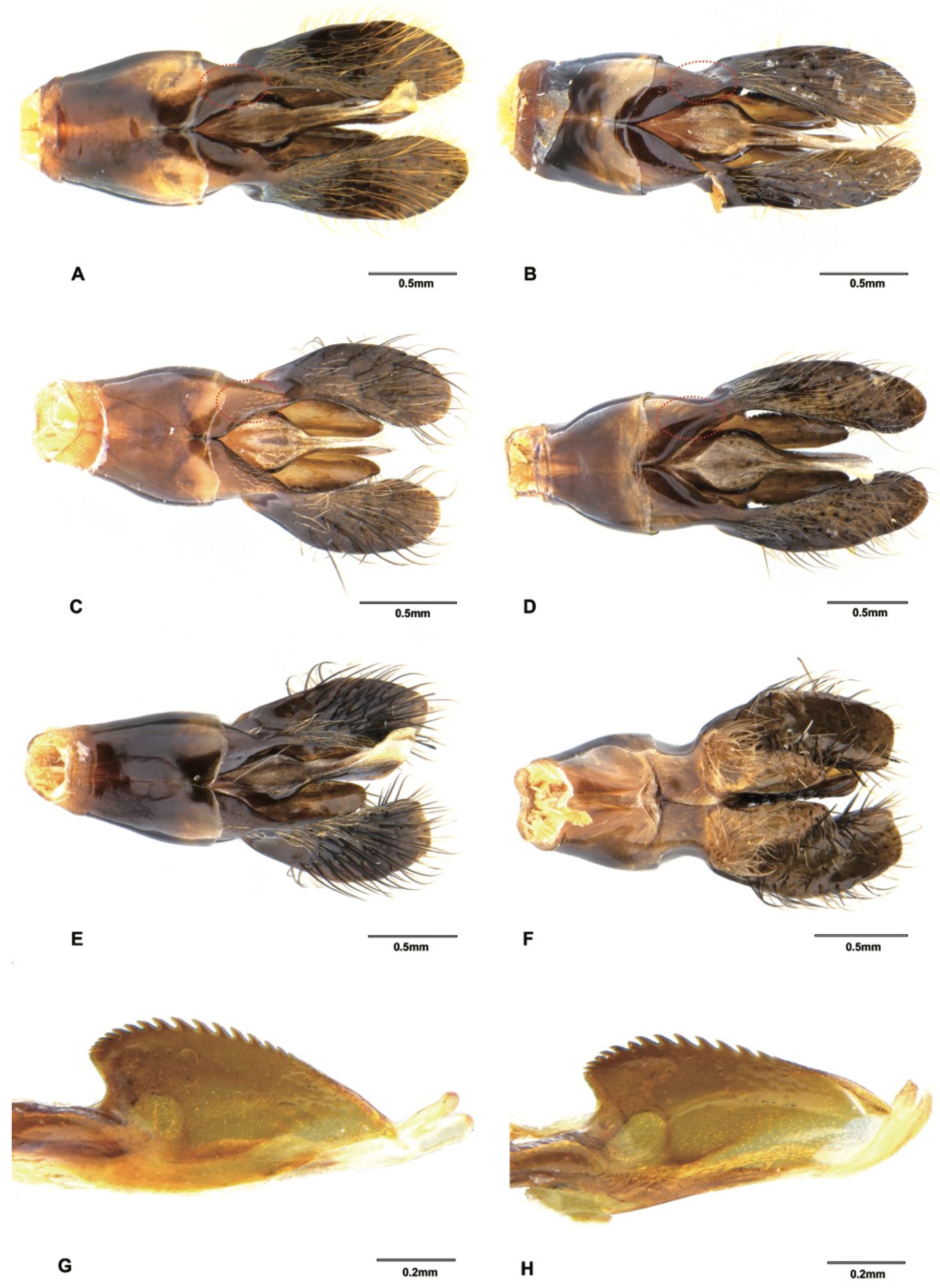 Insects 12 00892 g007