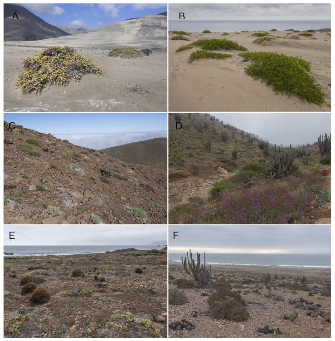 Insects 12 00916 g002 Insects 12 00916 g002