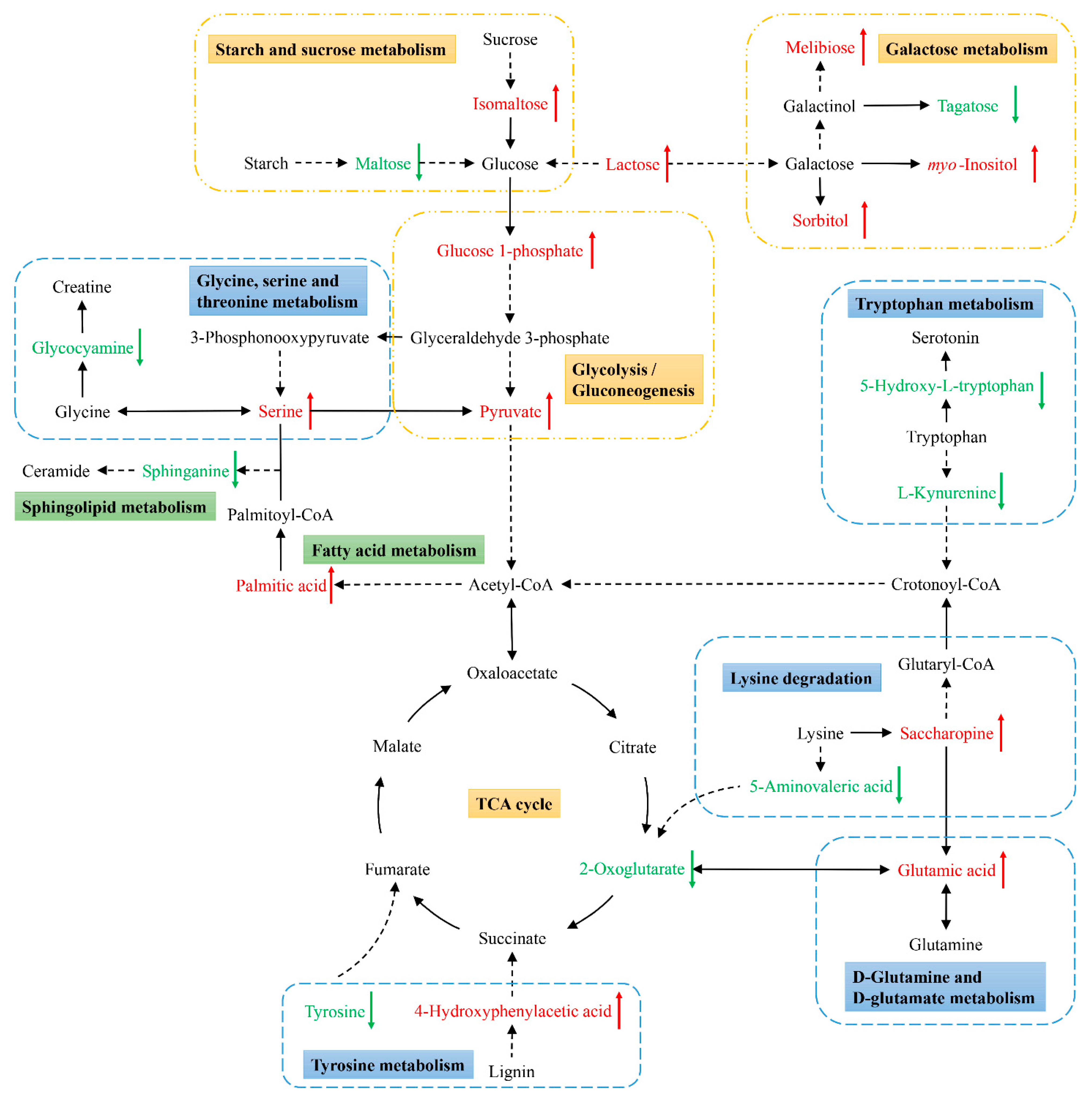 Insects 12 00927 g005