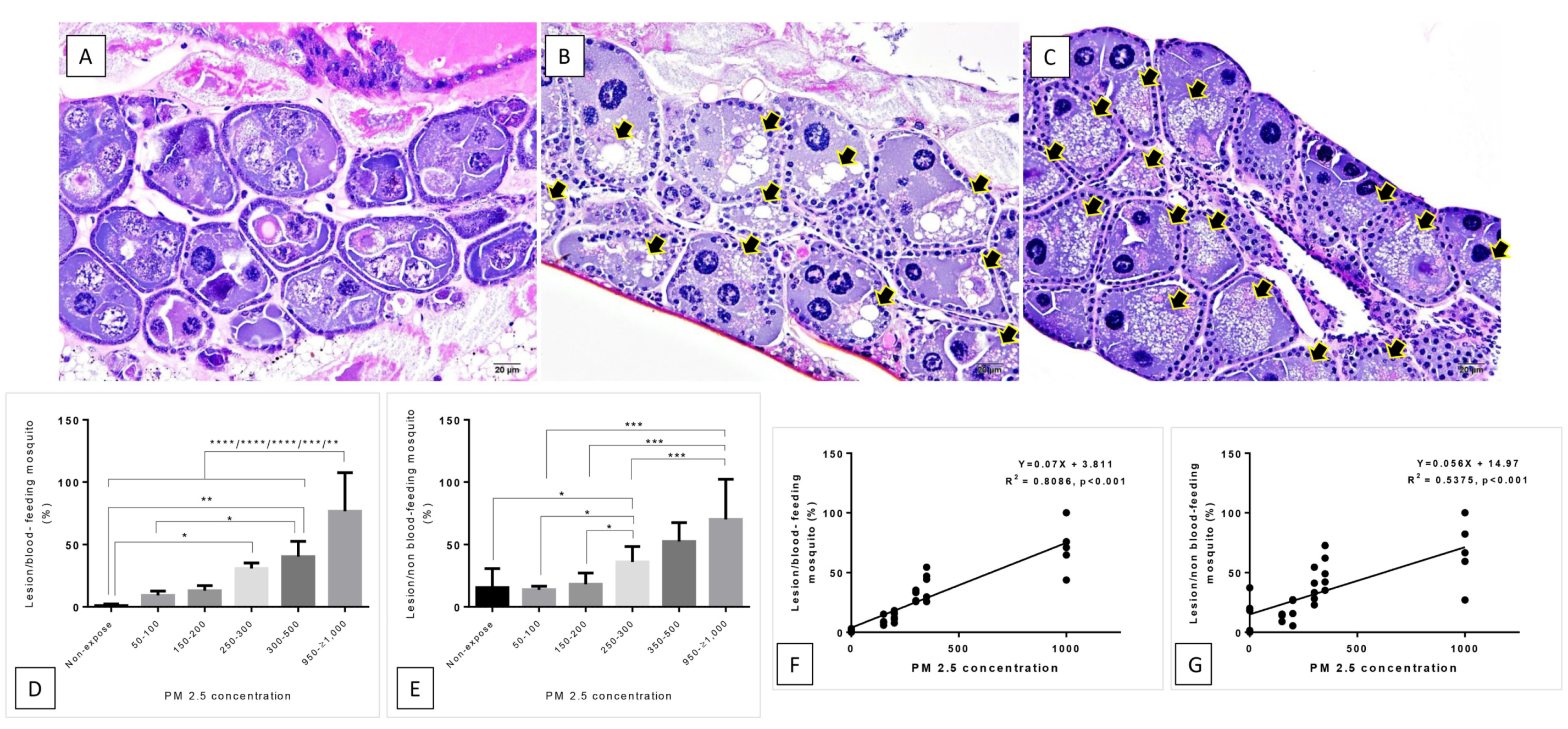 Insects 12 00948 g006