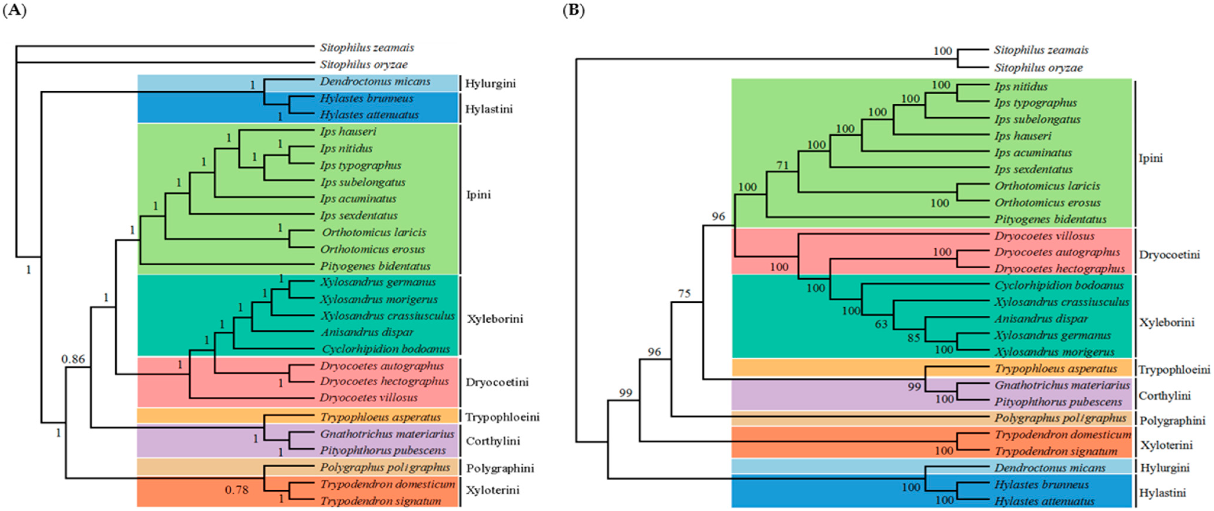 Insects 12 00949 g003