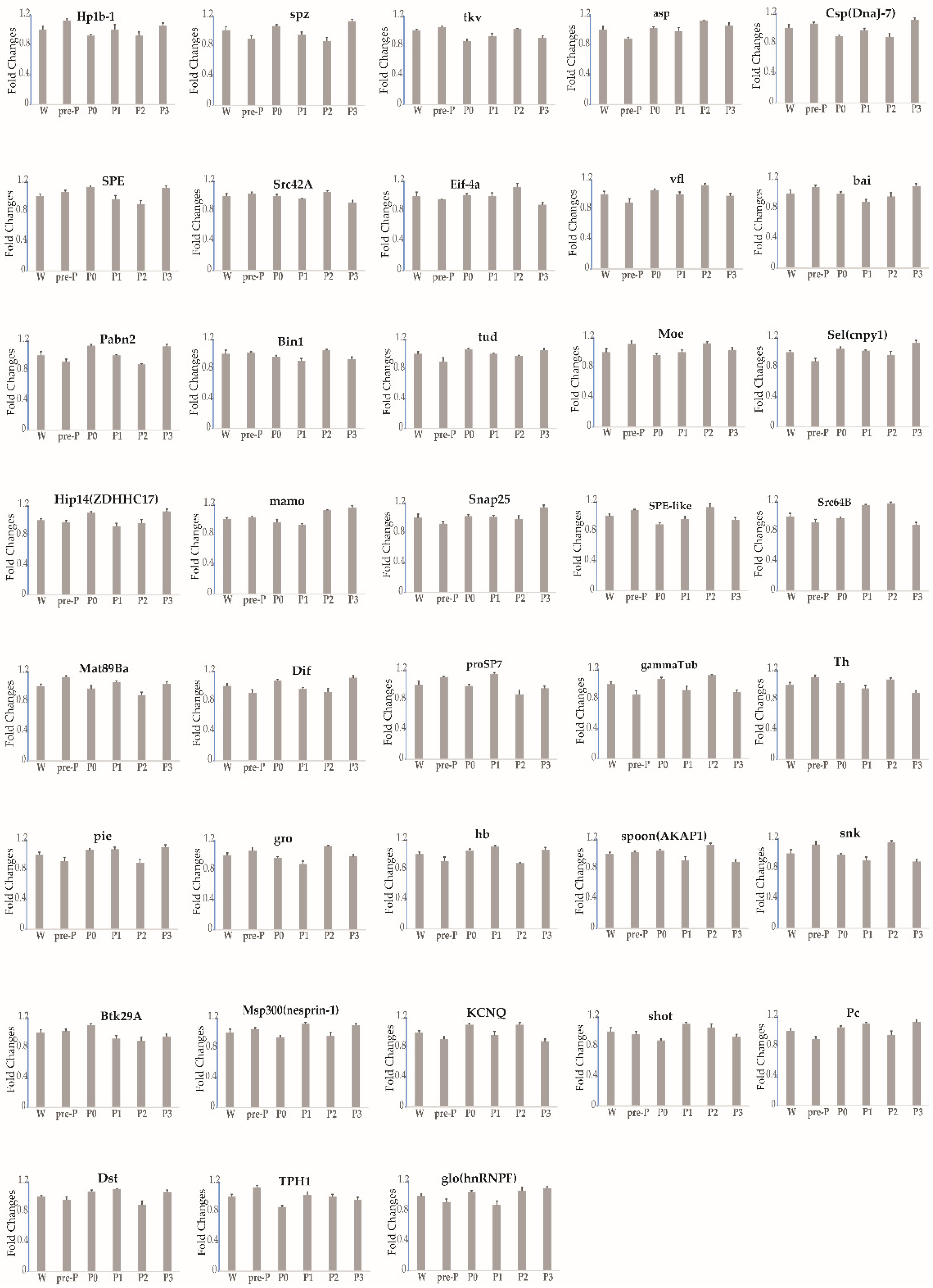 Insects 12 00969 g004