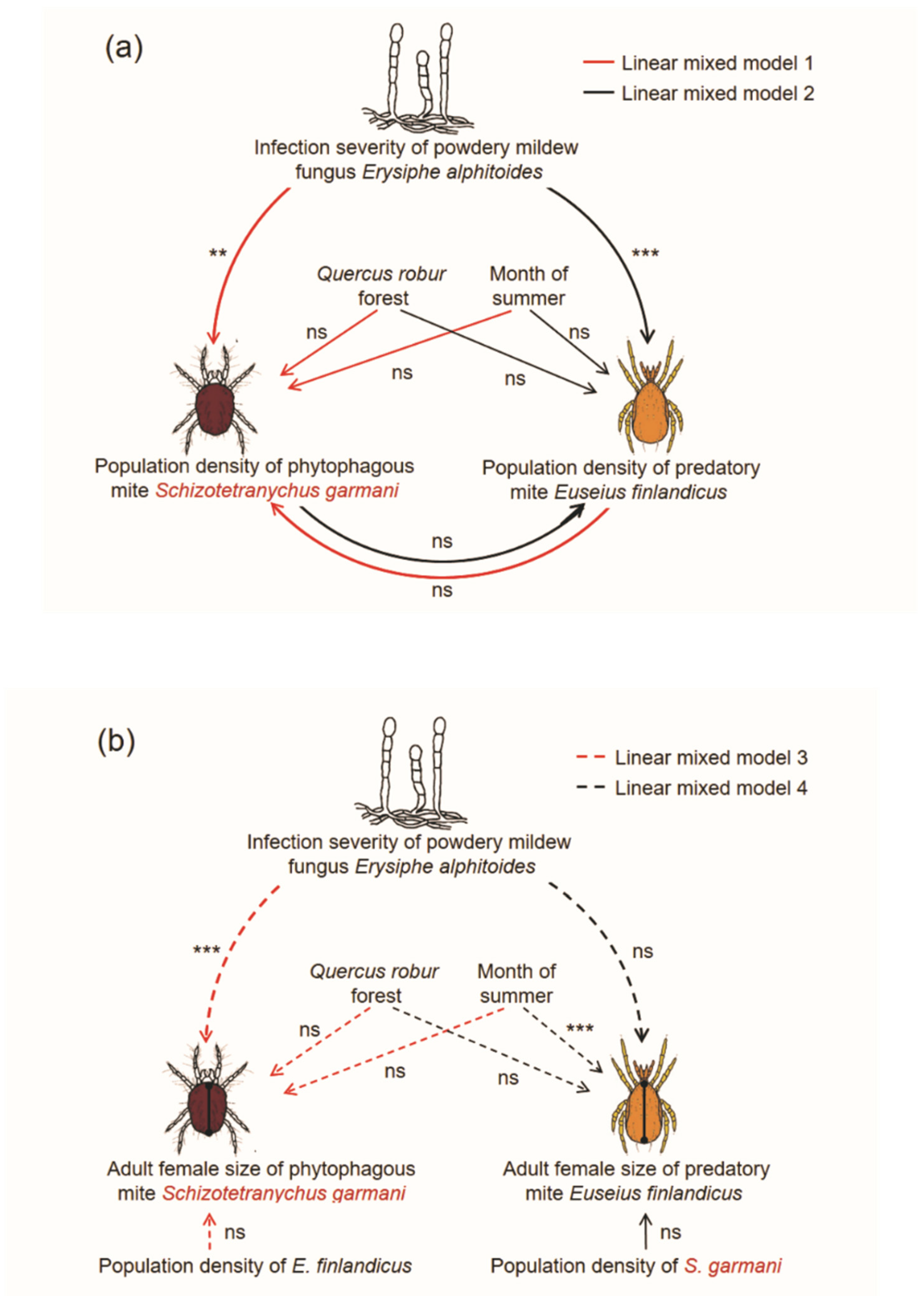 Insects 12 00981 g005