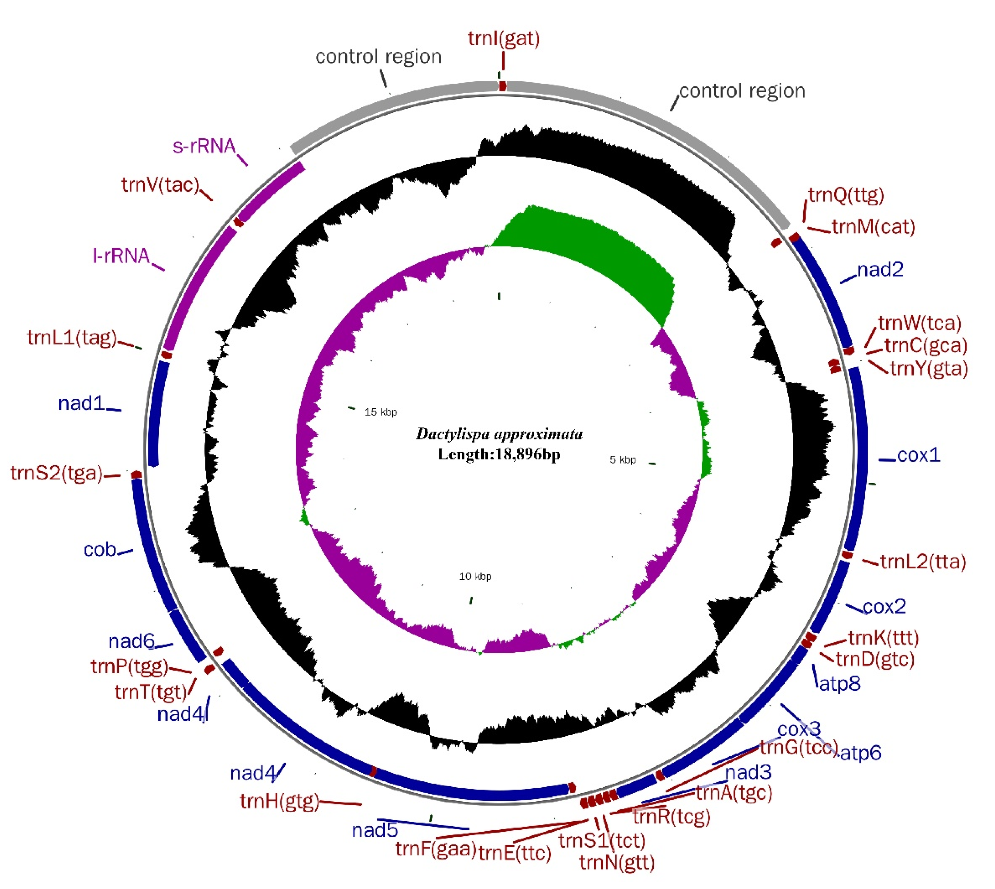 Insects 12 01005 g001