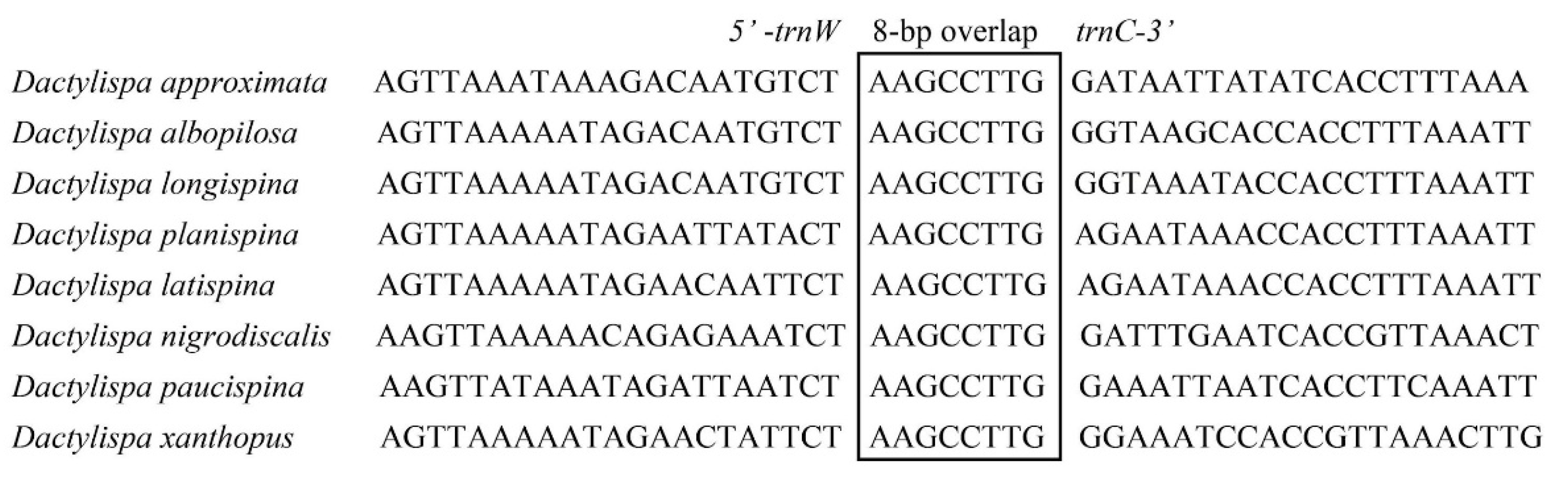 Insects 12 01005 g004