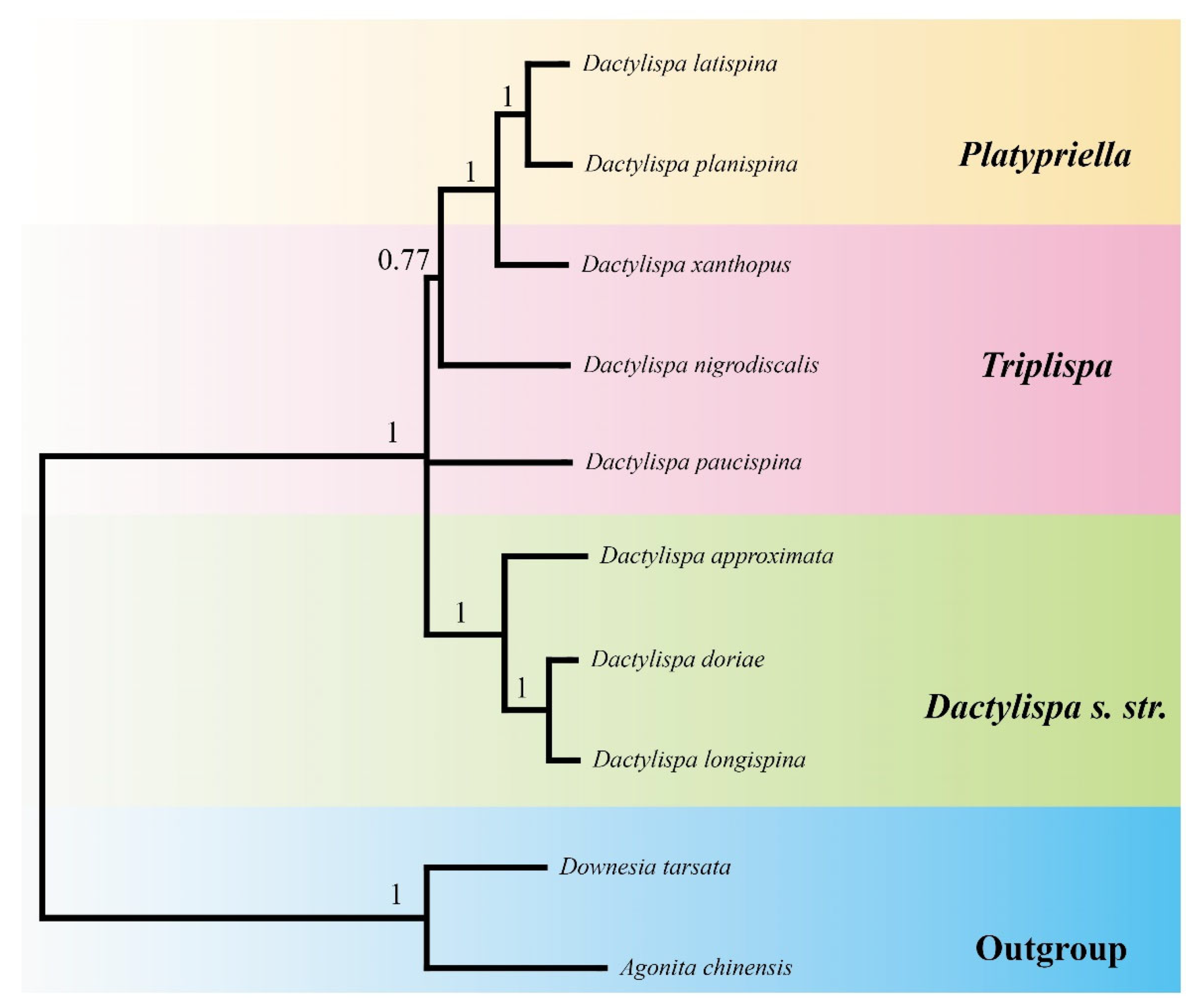 Insects 12 01005 g007