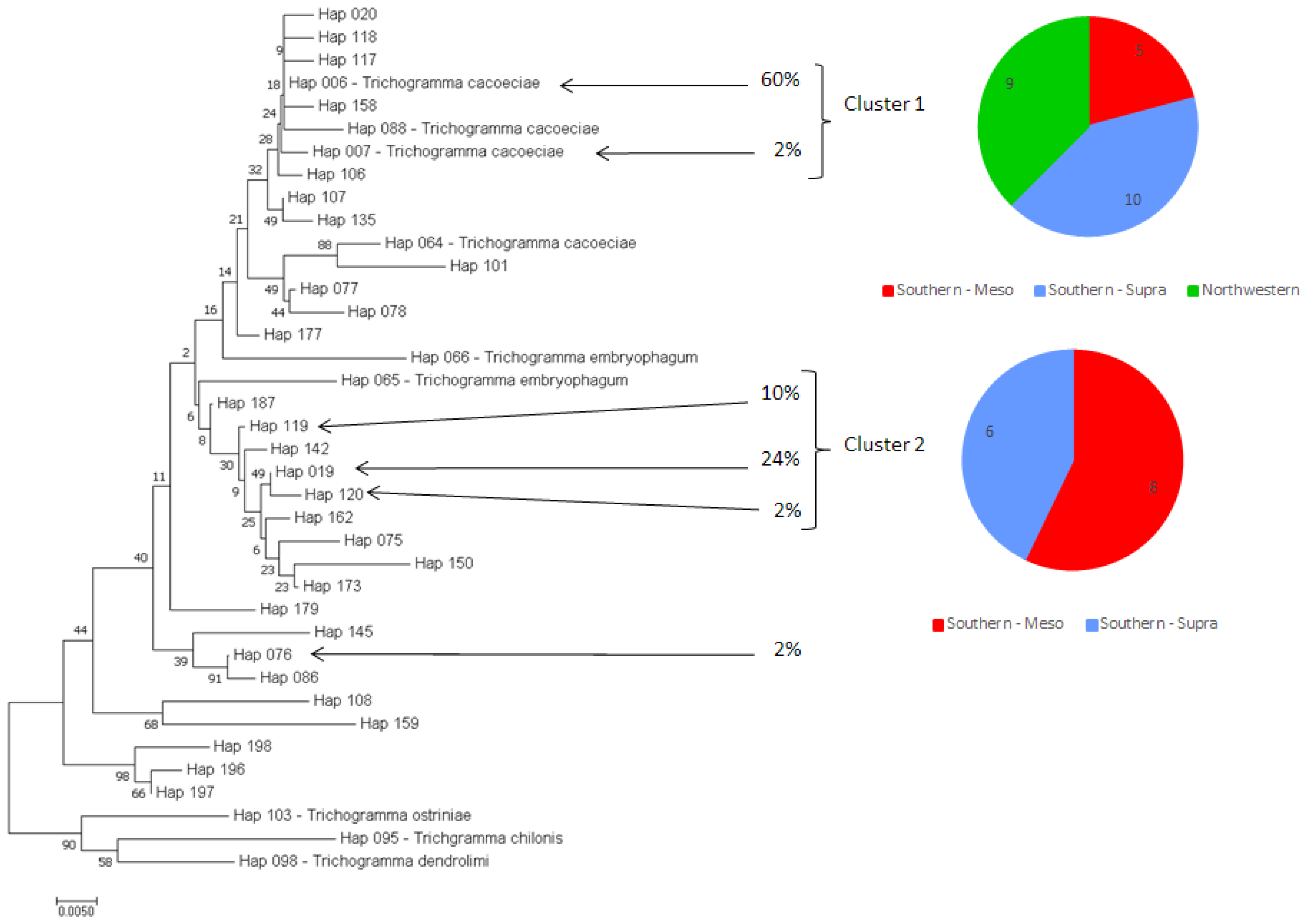 Insects 12 01013 g002