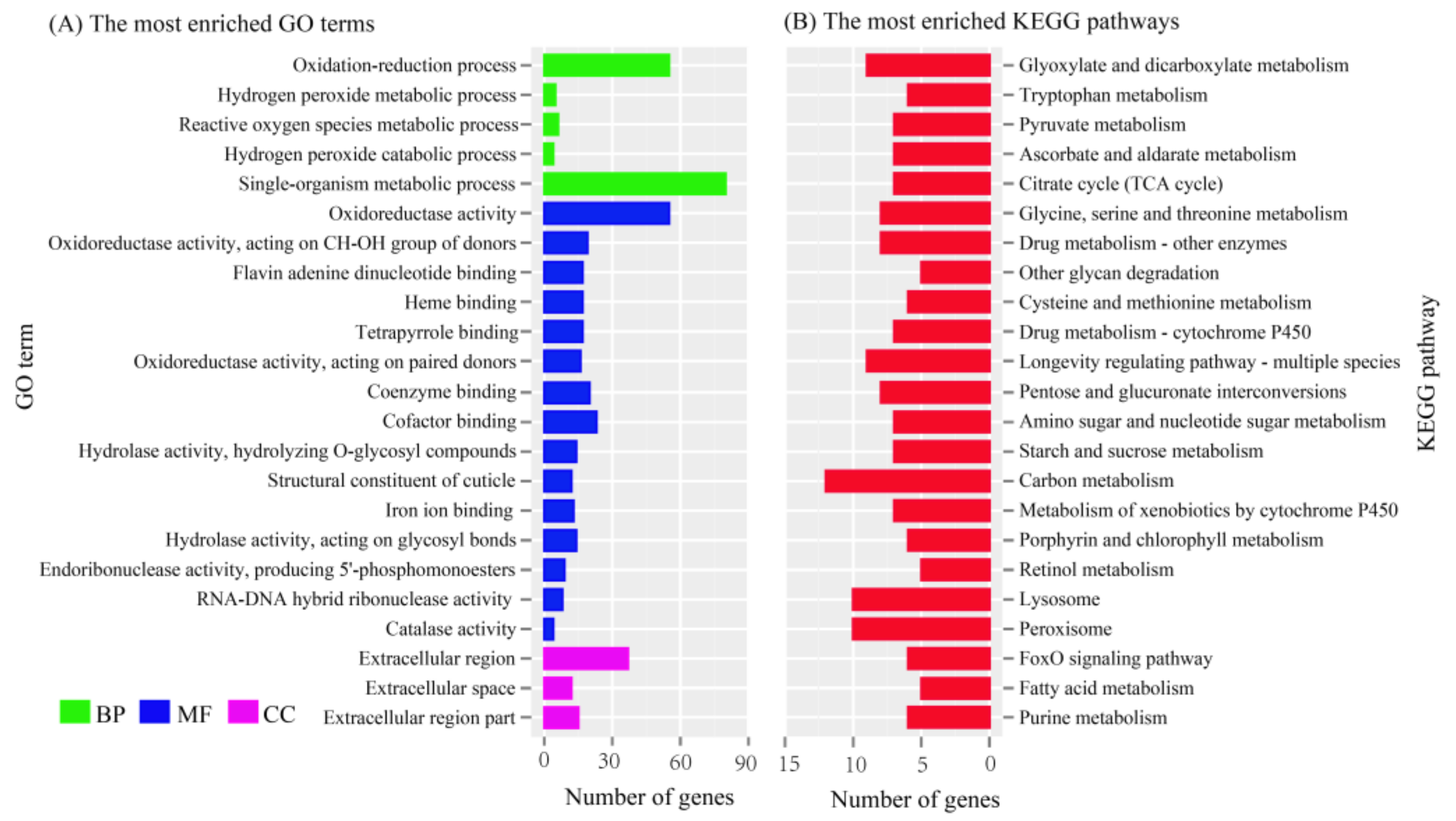 Insects 12 01062 g001