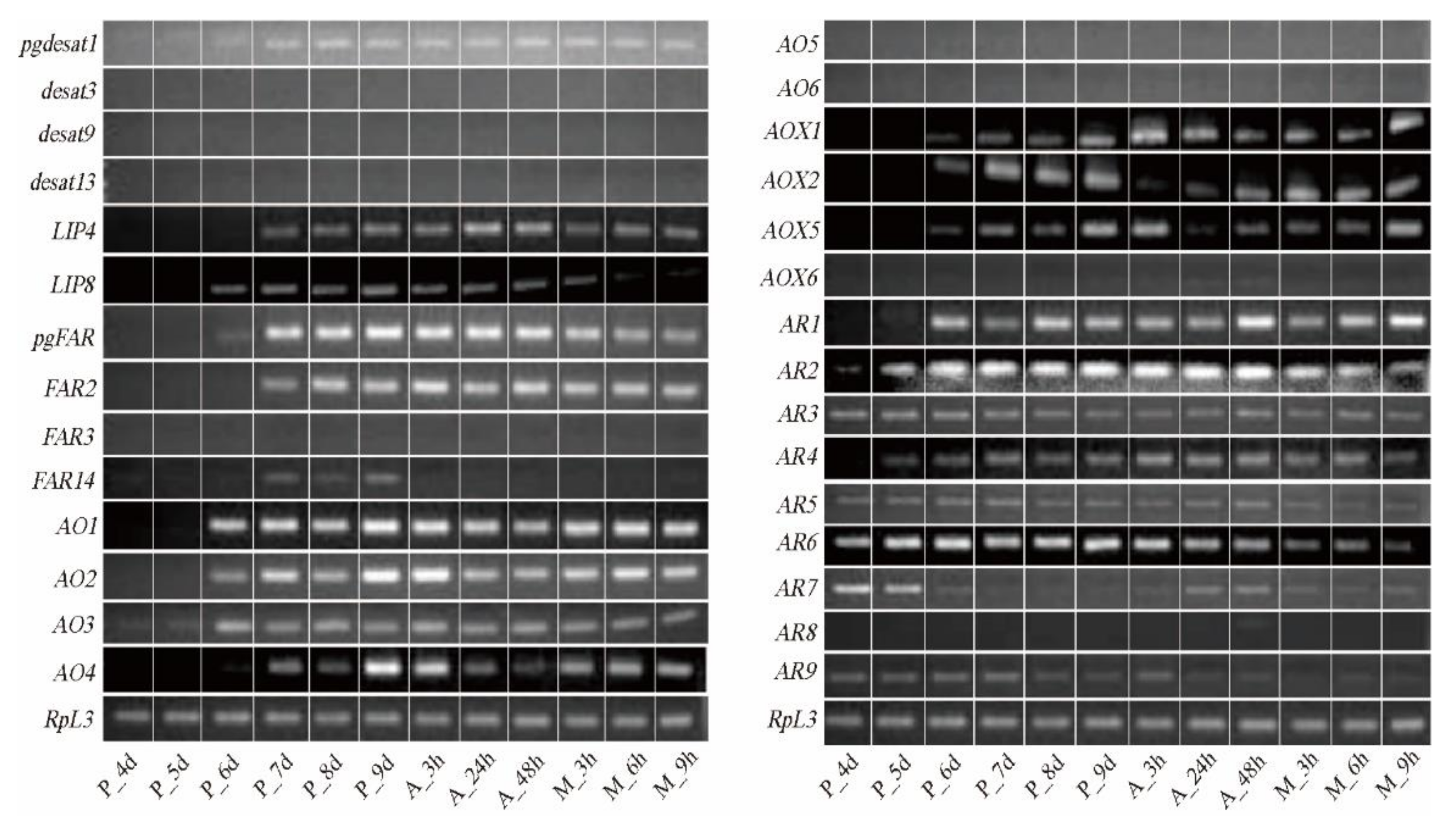 Insects 12 01062 g004