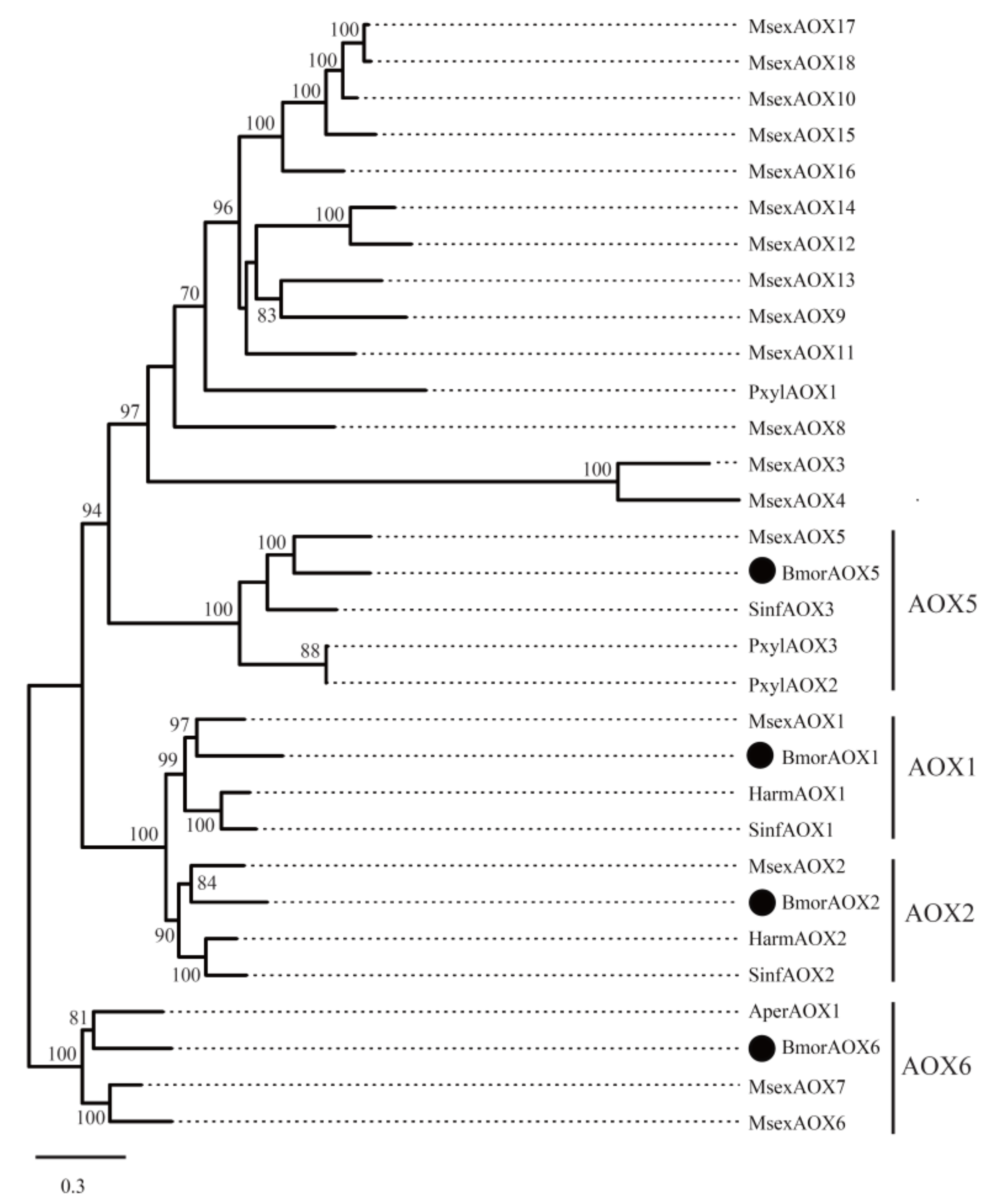 Insects 12 01062 g007