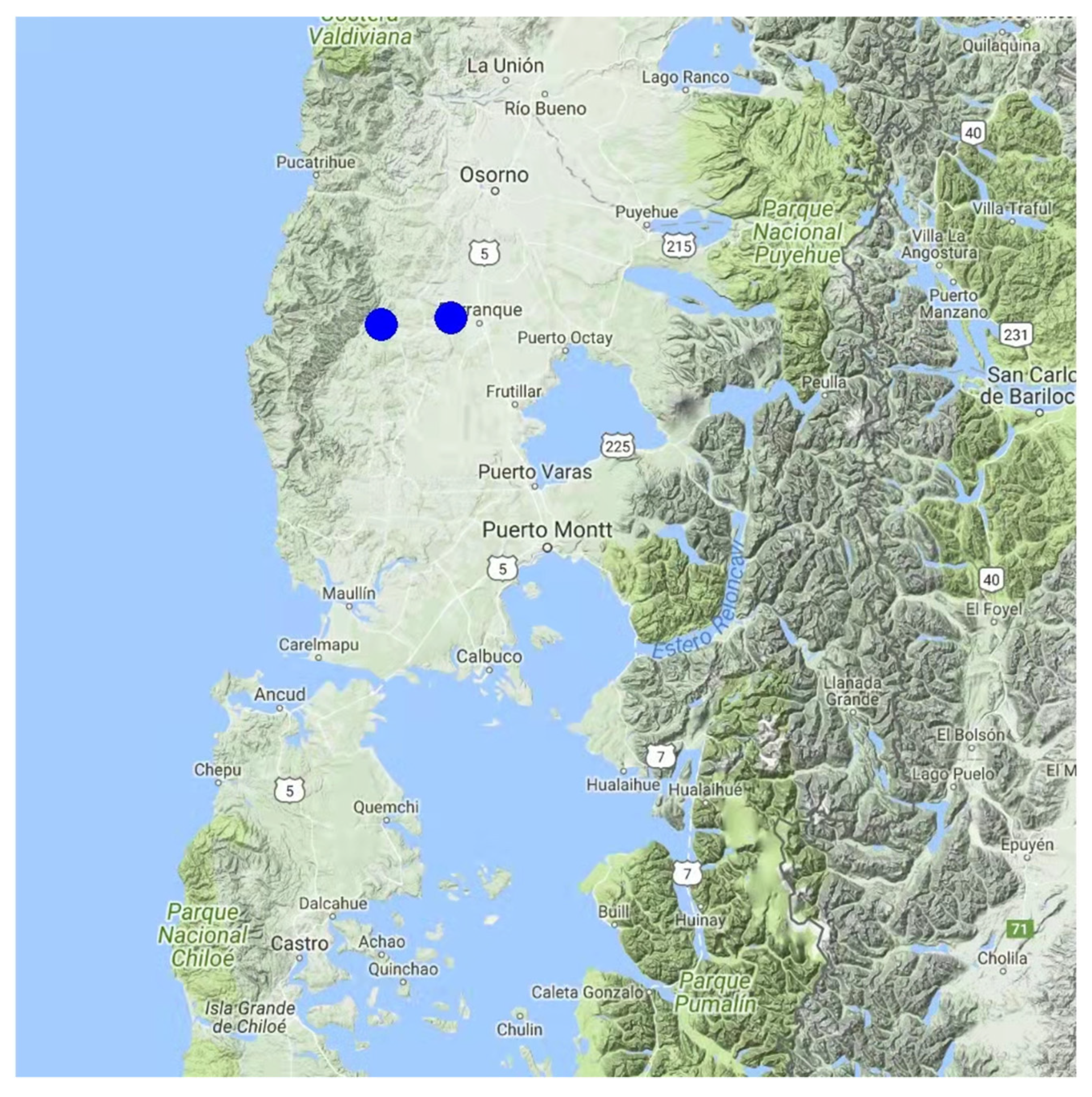 Insects 13 00031 g005