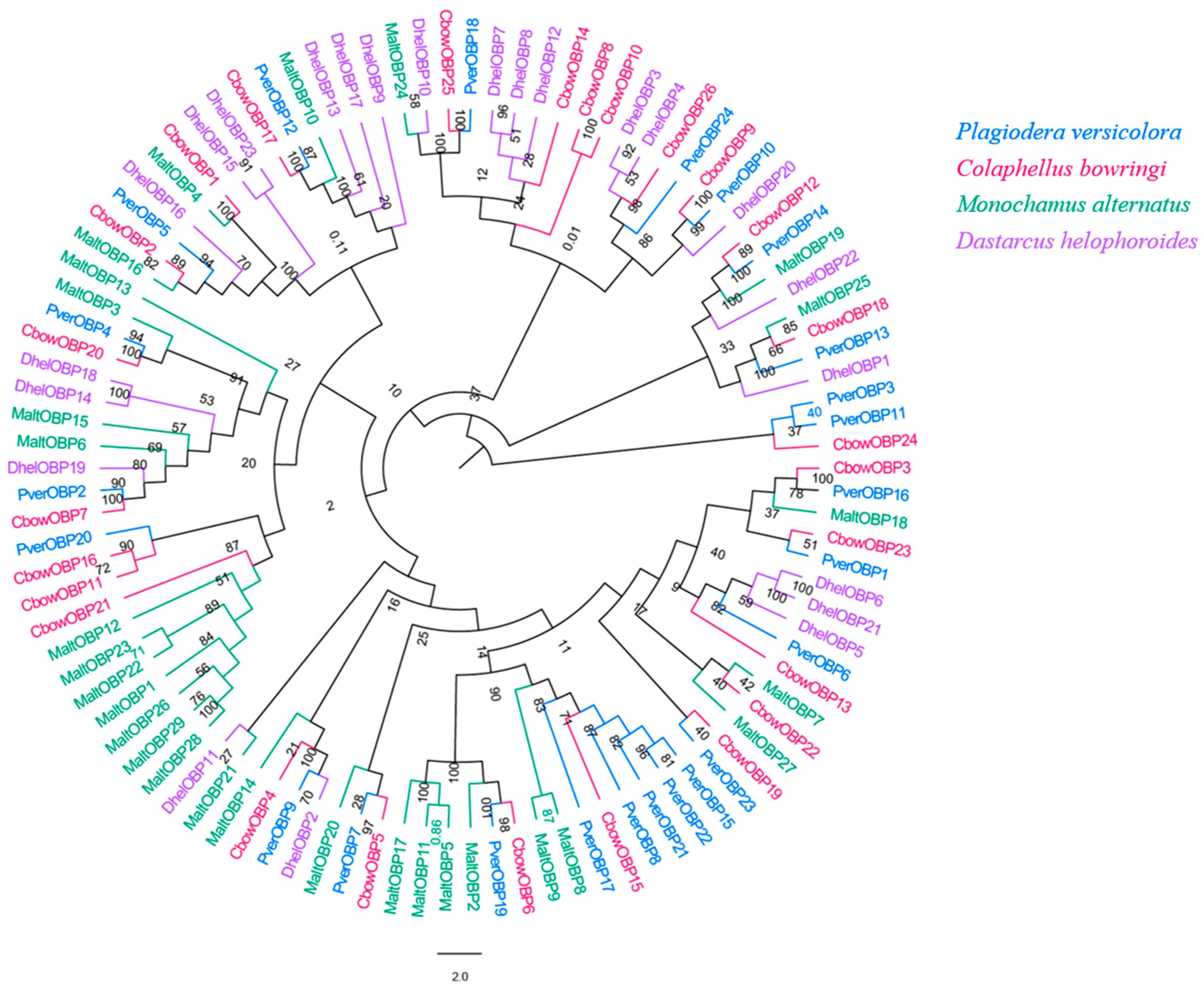 Insects 13 00036 g003