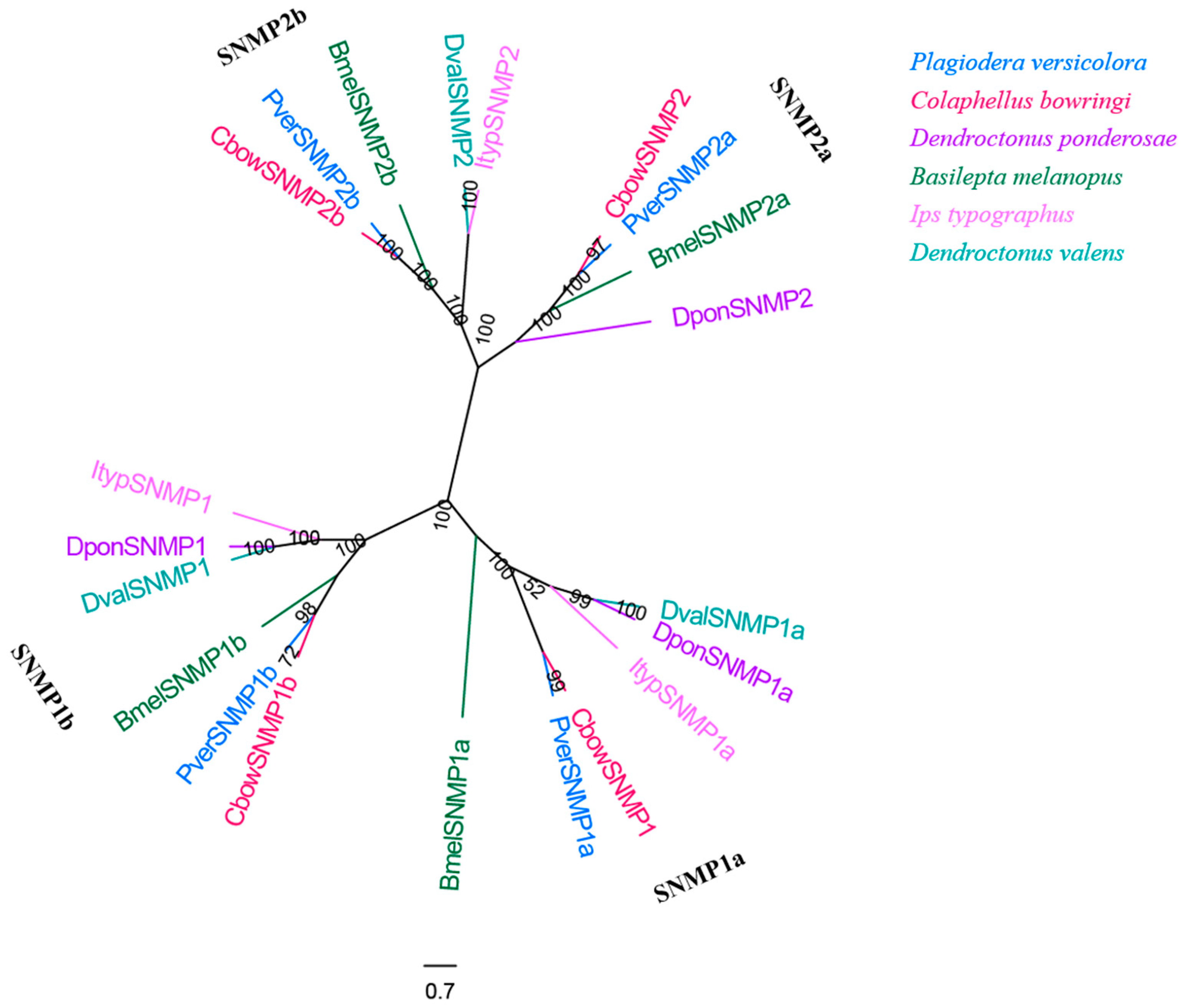 Insects 13 00036 g010