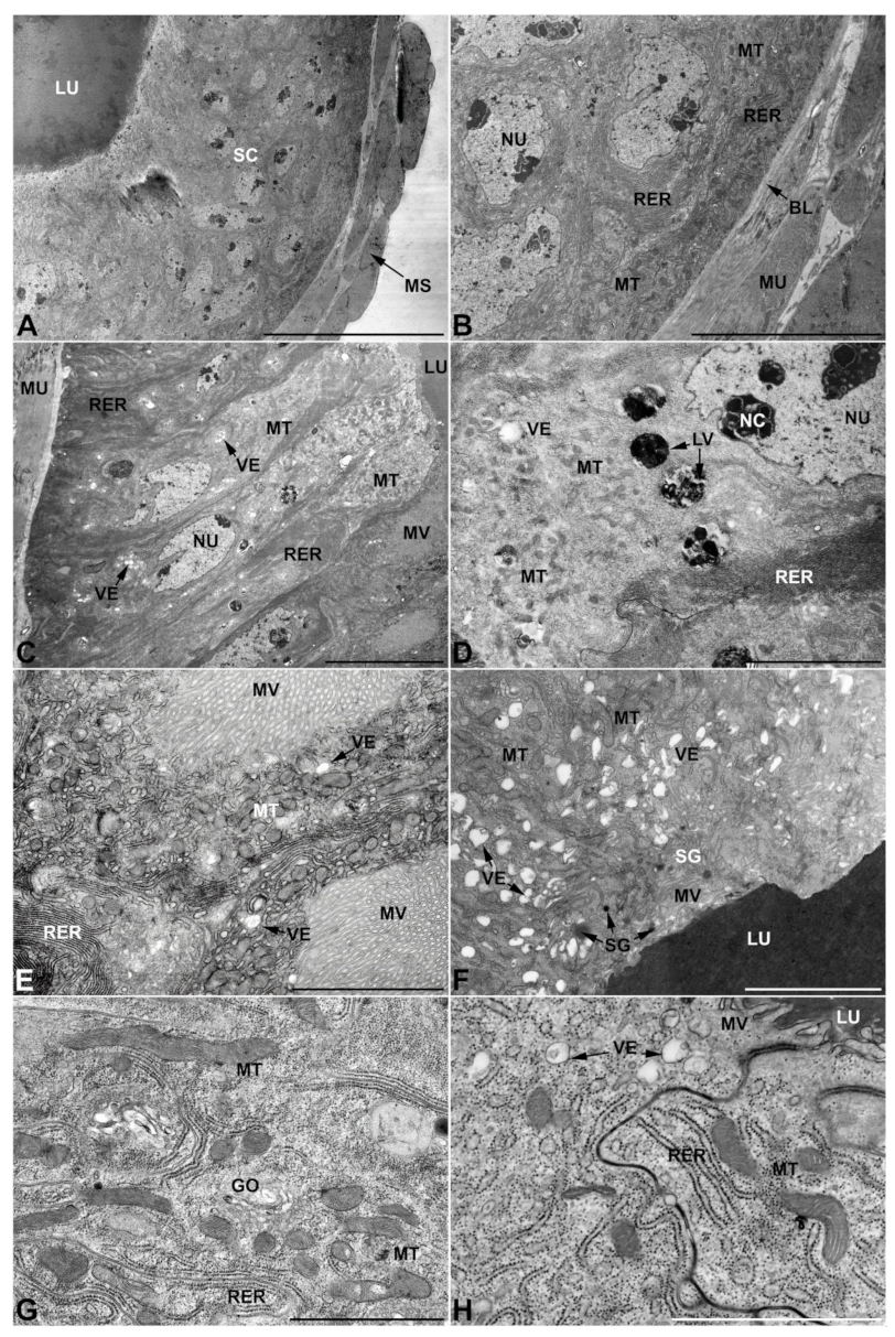 Insects 13 00132 g003 Insects 13 00132 g003