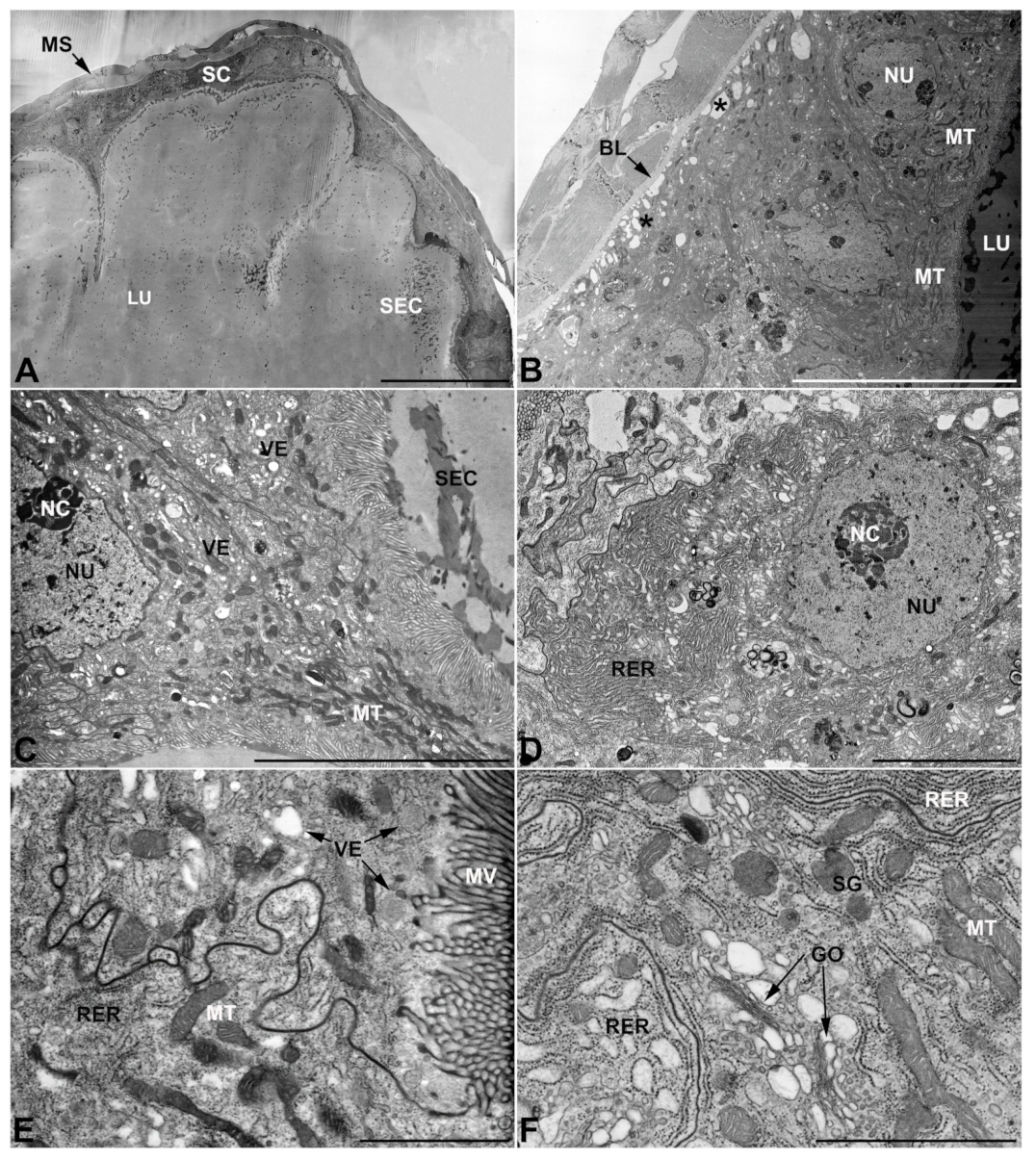 Insects 13 00132 g004 Insects 13 00132 g004