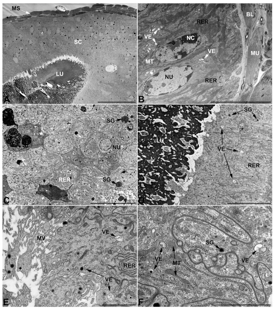 Insects 13 00132 g008 Insects 13 00132 g008