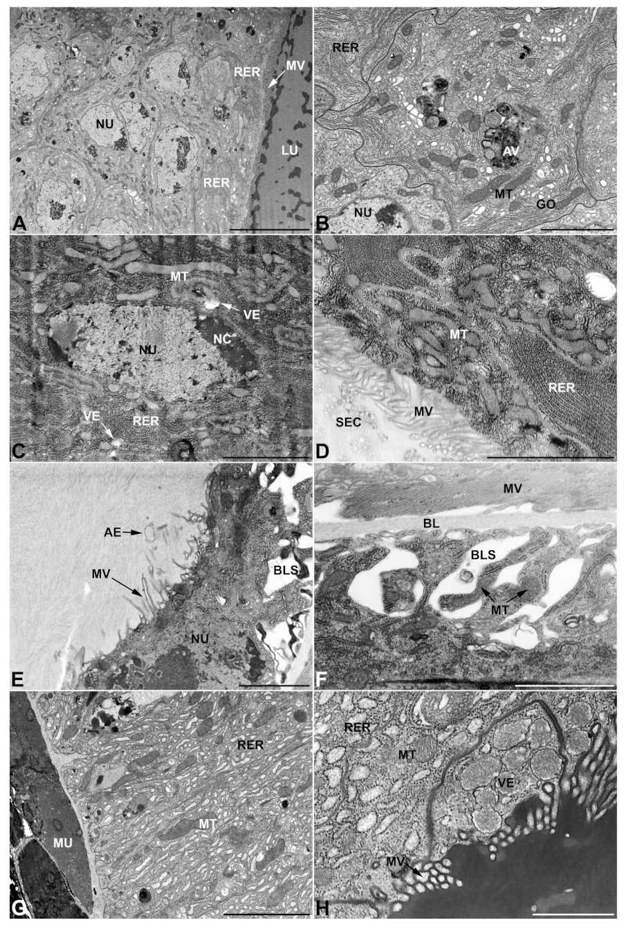 Insects 13 00132 g011 Insects 13 00132 g011