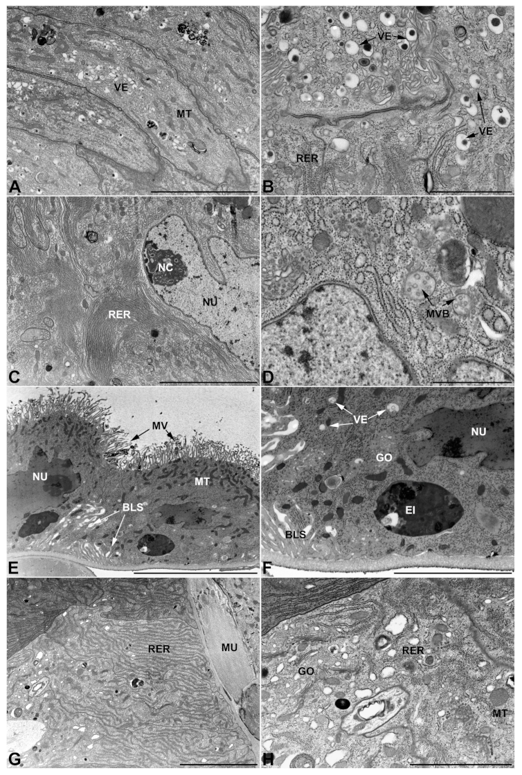 Insects 13 00132 g012 Insects 13 00132 g012