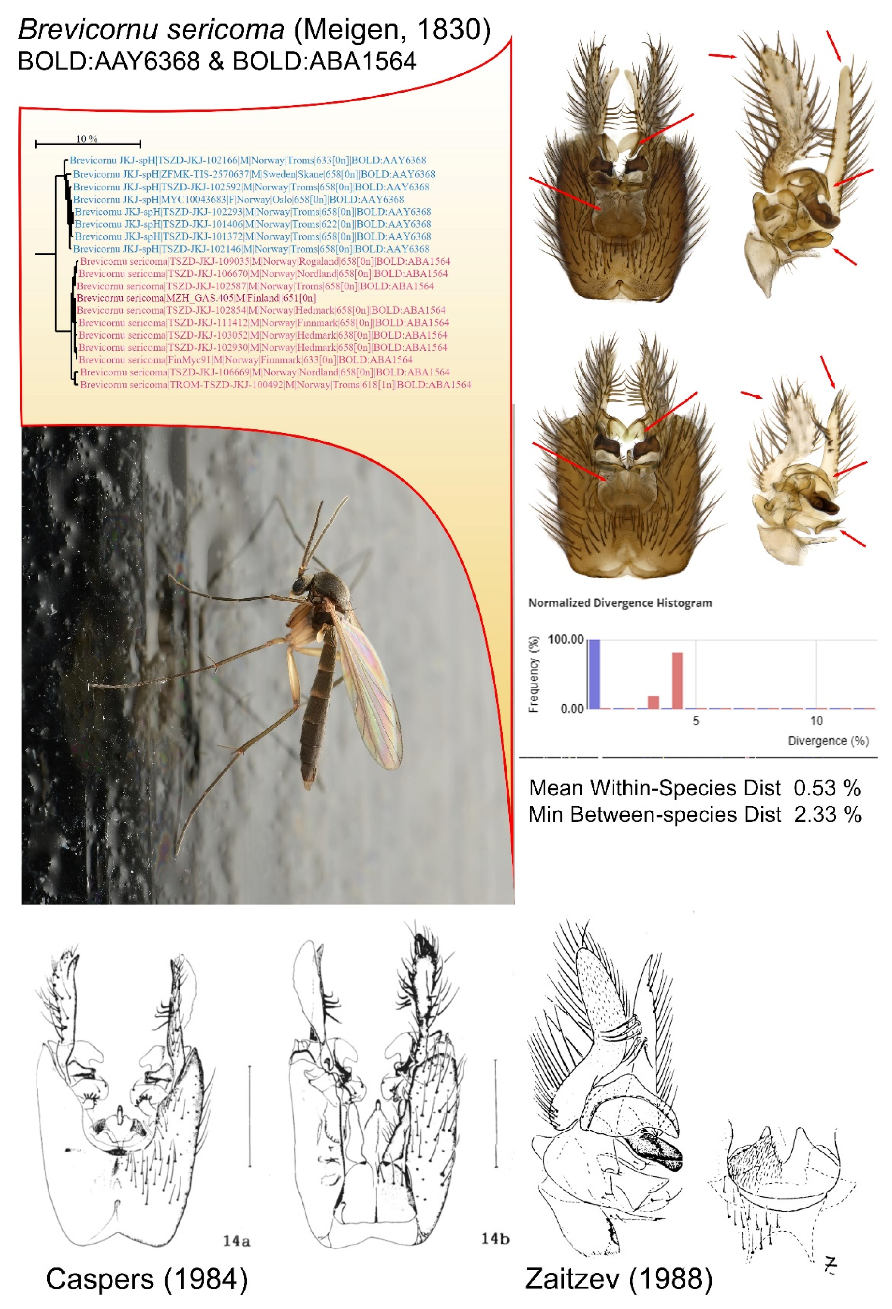 Insects 13 00147 g007 Insects 13 00147 g007
