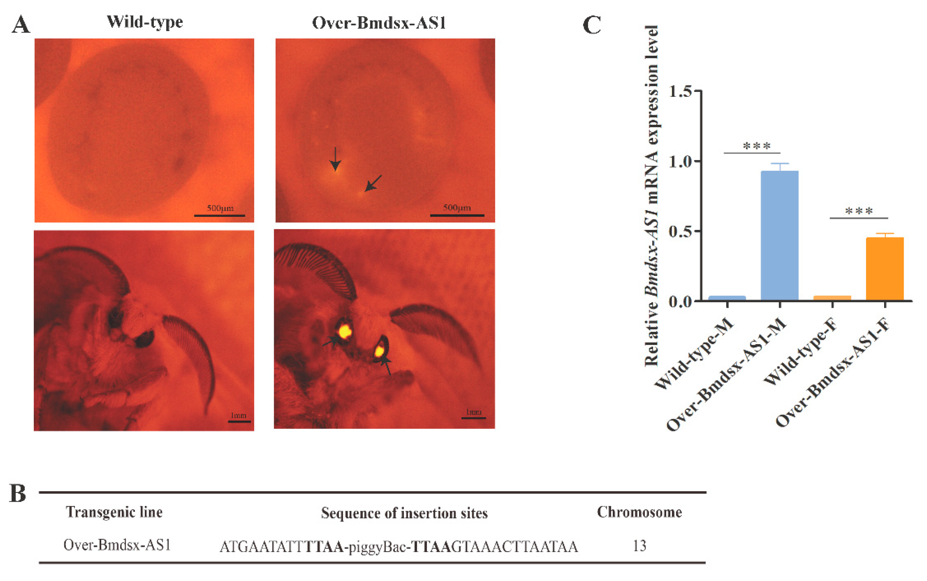 Insects 13 00188 g001 Insects 13 00188 g001