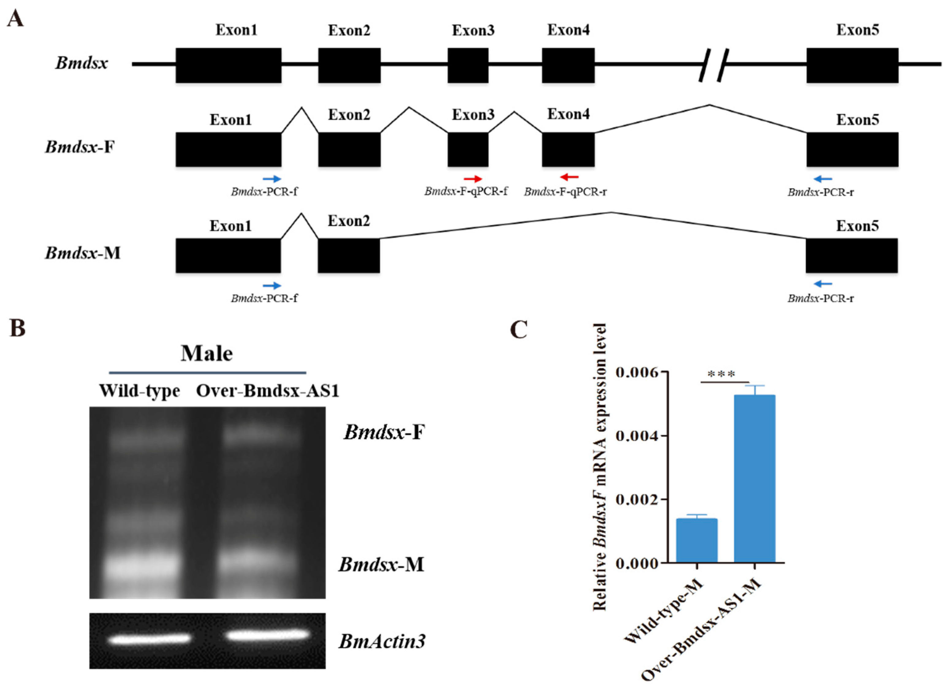 Insects 13 00188 g003 Insects 13 00188 g003